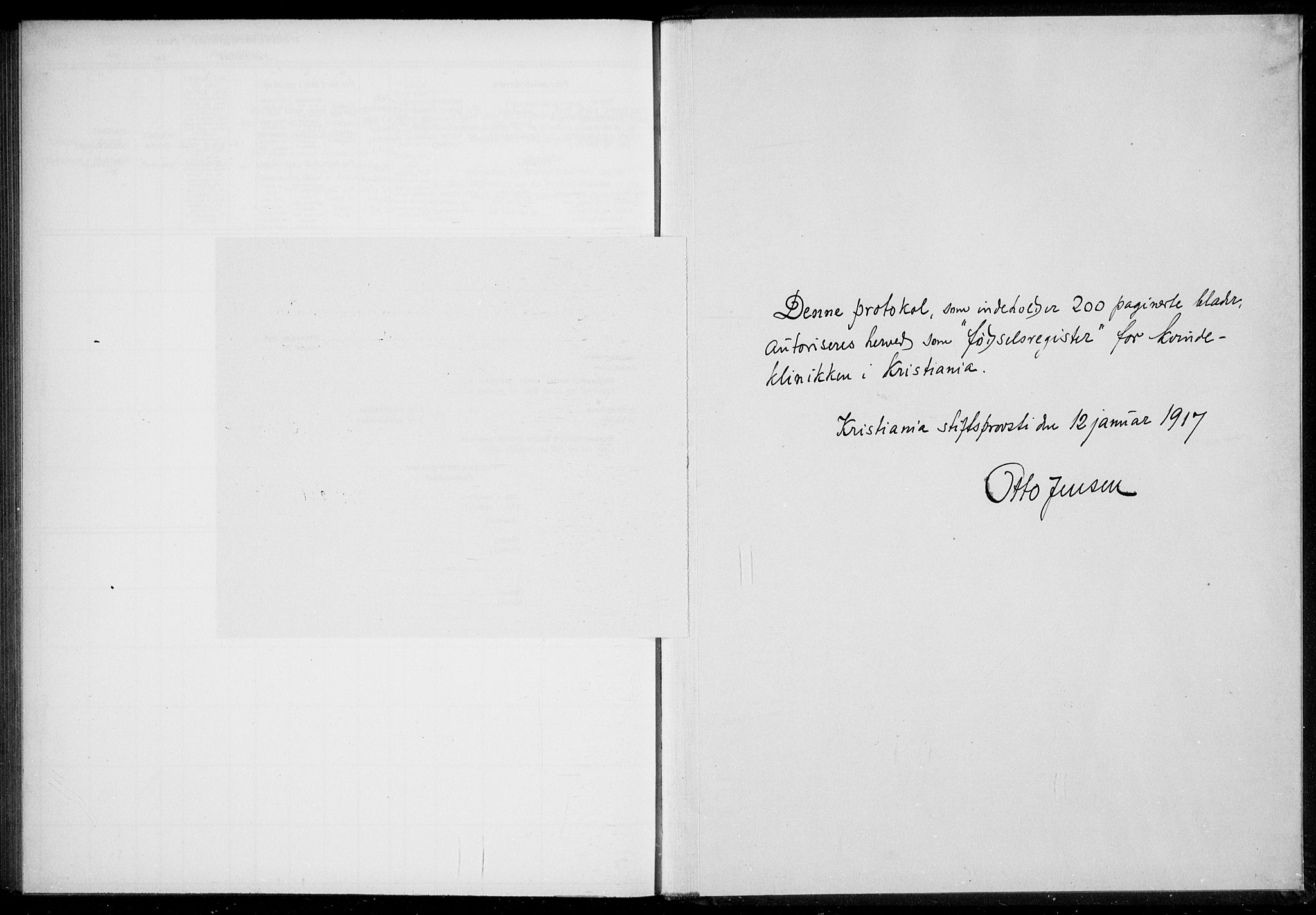 Rikshospitalet prestekontor Kirkebøker, SAO/A-10309b/J/L0002: Birth register no. 2, 1917-1917