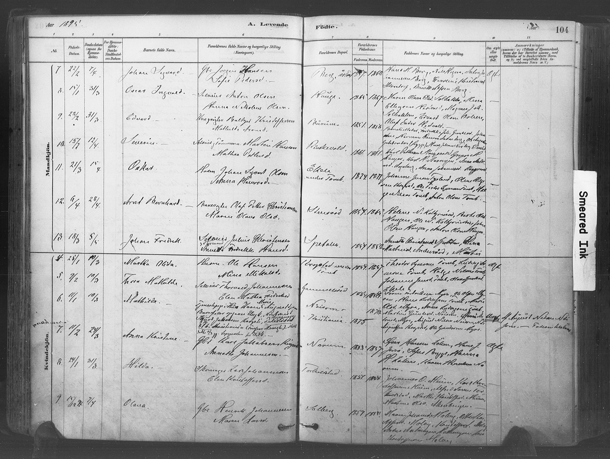 Råde prestekontor kirkebøker, SAO/A-2009/F/Fa/L0007: Parish register (official) no. 7, 1878-1902, p. 104