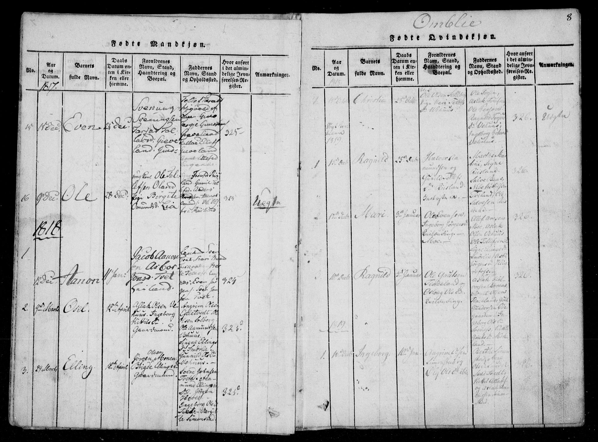 Åmli sokneprestkontor, SAK/1111-0050/F/Fa/Fac/L0006: Parish register (official) no. A 6, 1816-1829, p. 8