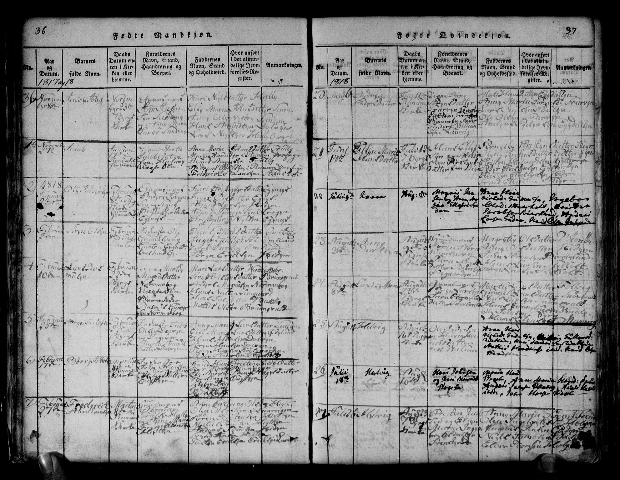 Brunlanes kirkebøker, SAKO/A-342/G/Ga/L0001: Parish register (copy) no. I 1, 1814-1834, p. 36-37