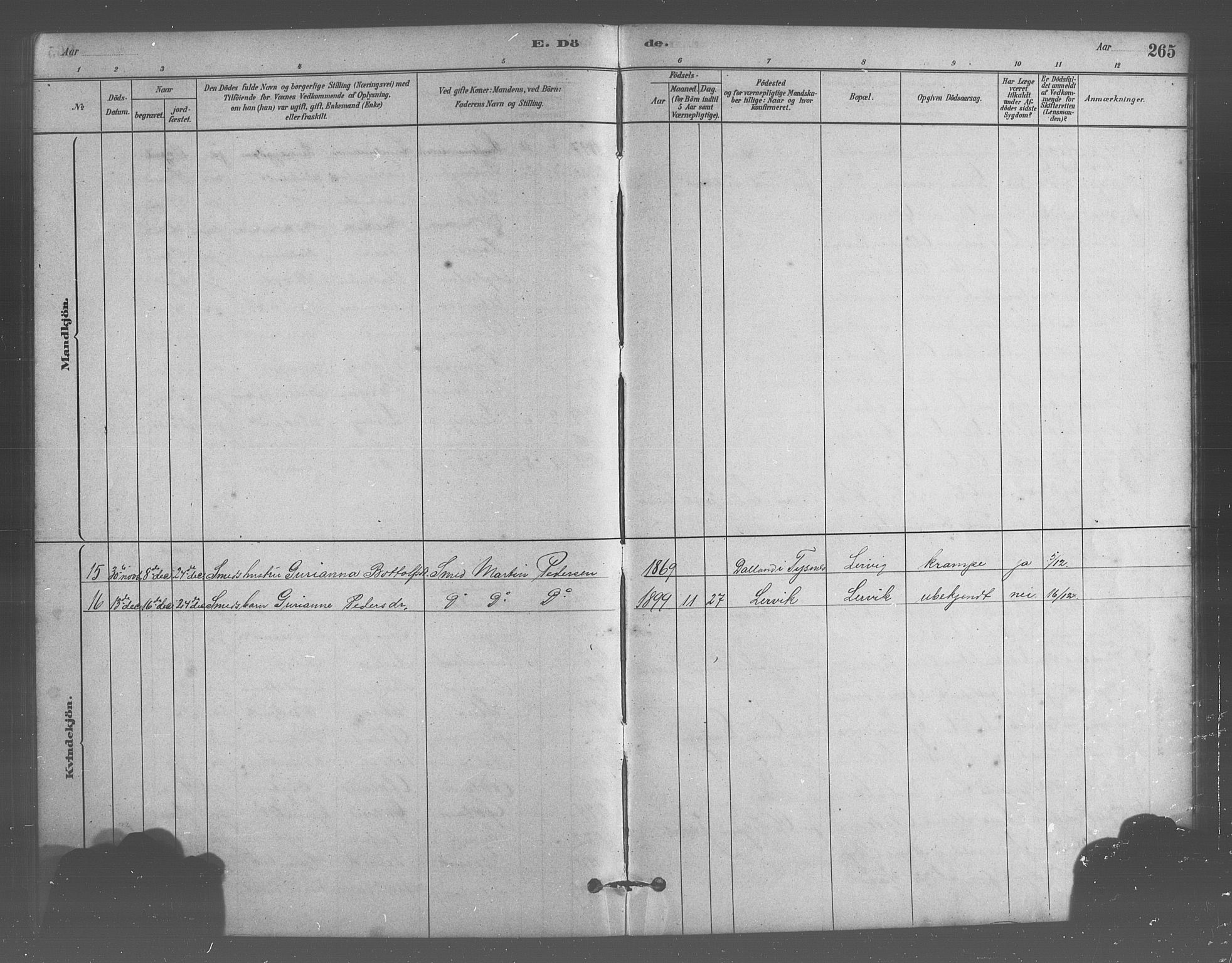 Stord sokneprestembete, AV/SAB-A-78201/H/Hab: Parish register (copy) no. A 2, 1879-1909, p. 265