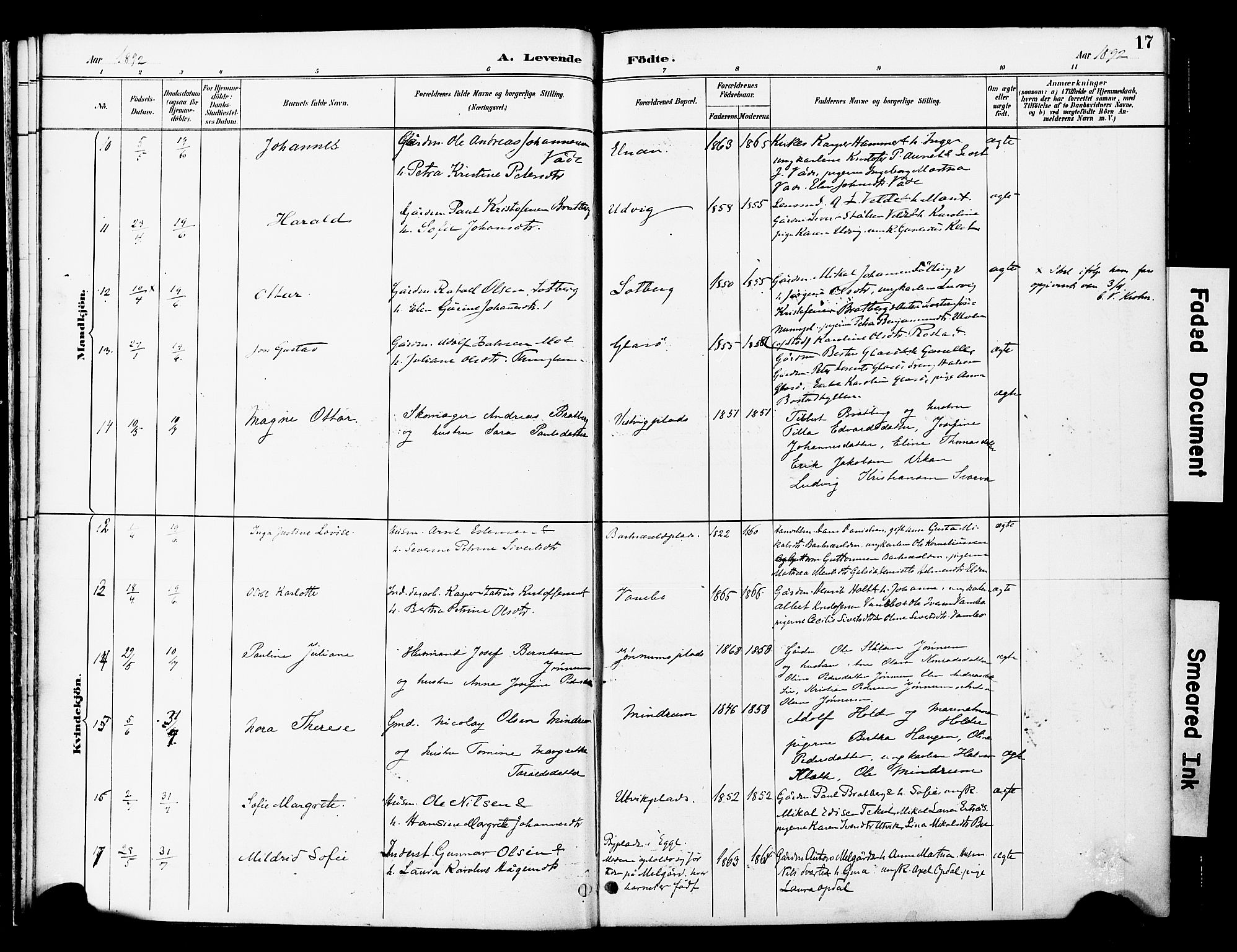 Ministerialprotokoller, klokkerbøker og fødselsregistre - Nord-Trøndelag, AV/SAT-A-1458/741/L0396: Parish register (official) no. 741A10, 1889-1901, p. 17