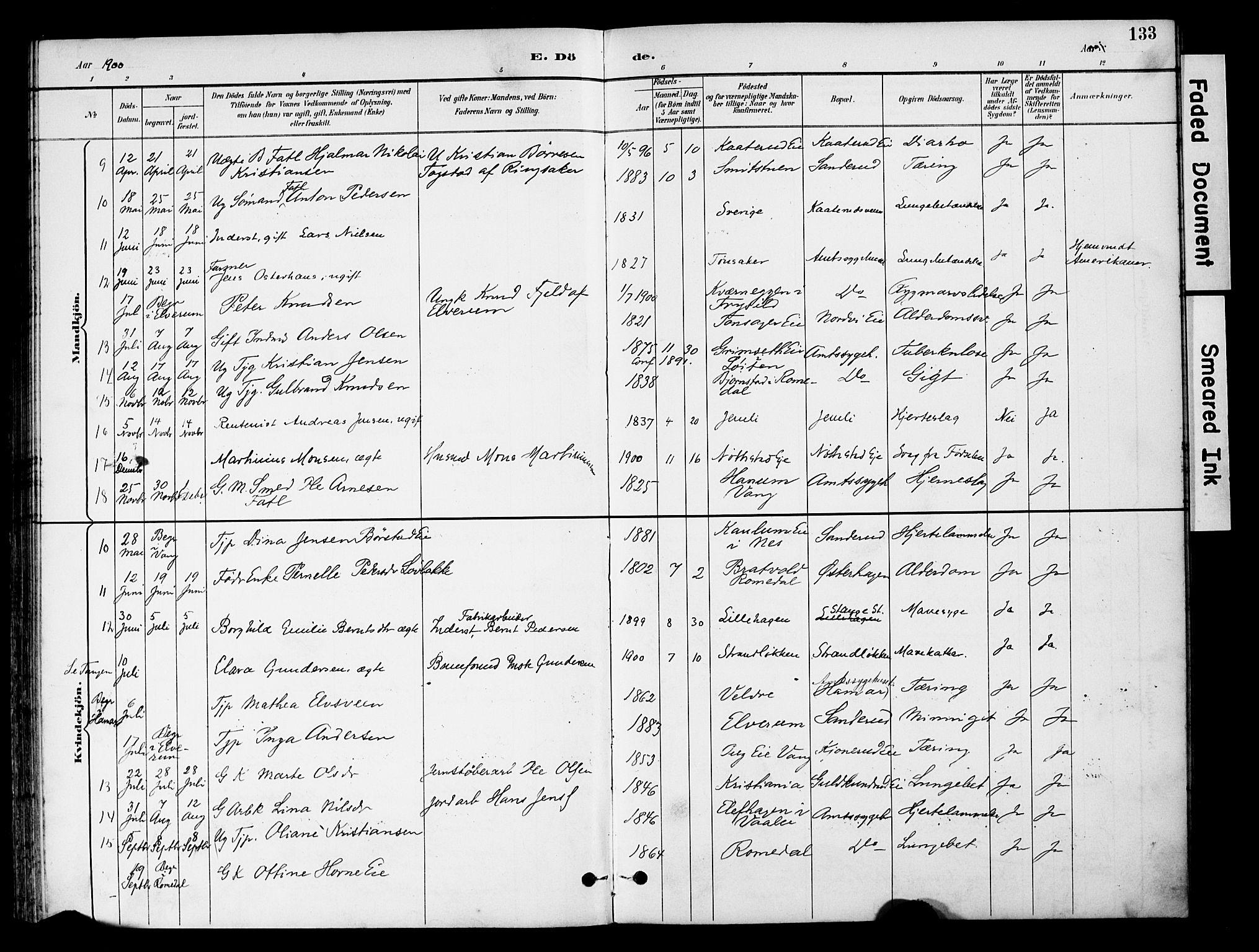 Stange prestekontor, AV/SAH-PREST-002/K/L0021: Parish register (official) no. 21, 1891-1902, p. 133