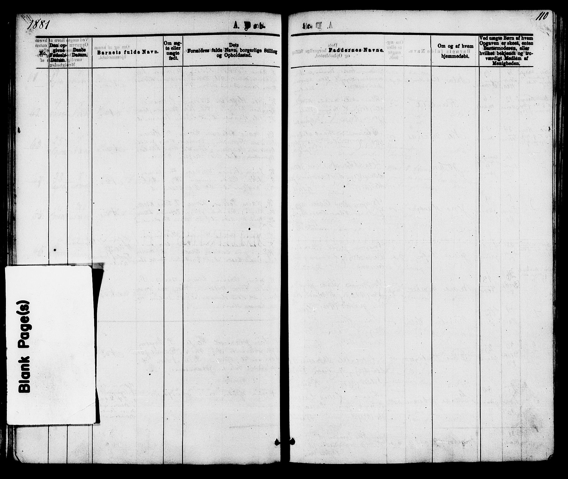 Skåtøy kirkebøker, SAKO/A-304/F/Fa/L0001: Parish register (official) no. I 1, 1874-1883, p. 110