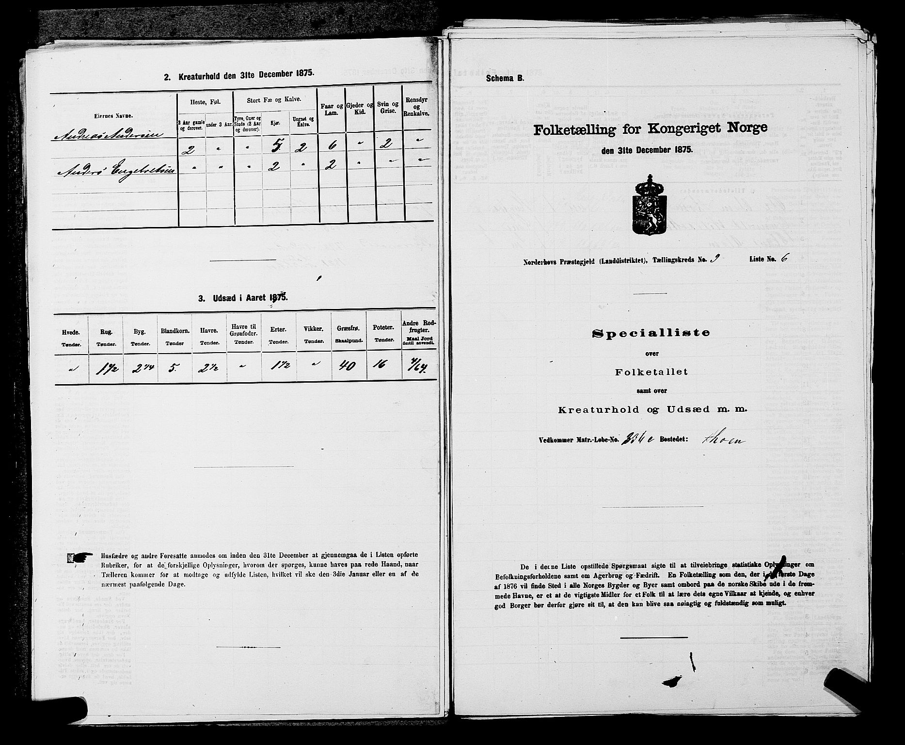 SAKO, 1875 census for 0613L Norderhov/Norderhov, Haug og Lunder, 1875, p. 1701