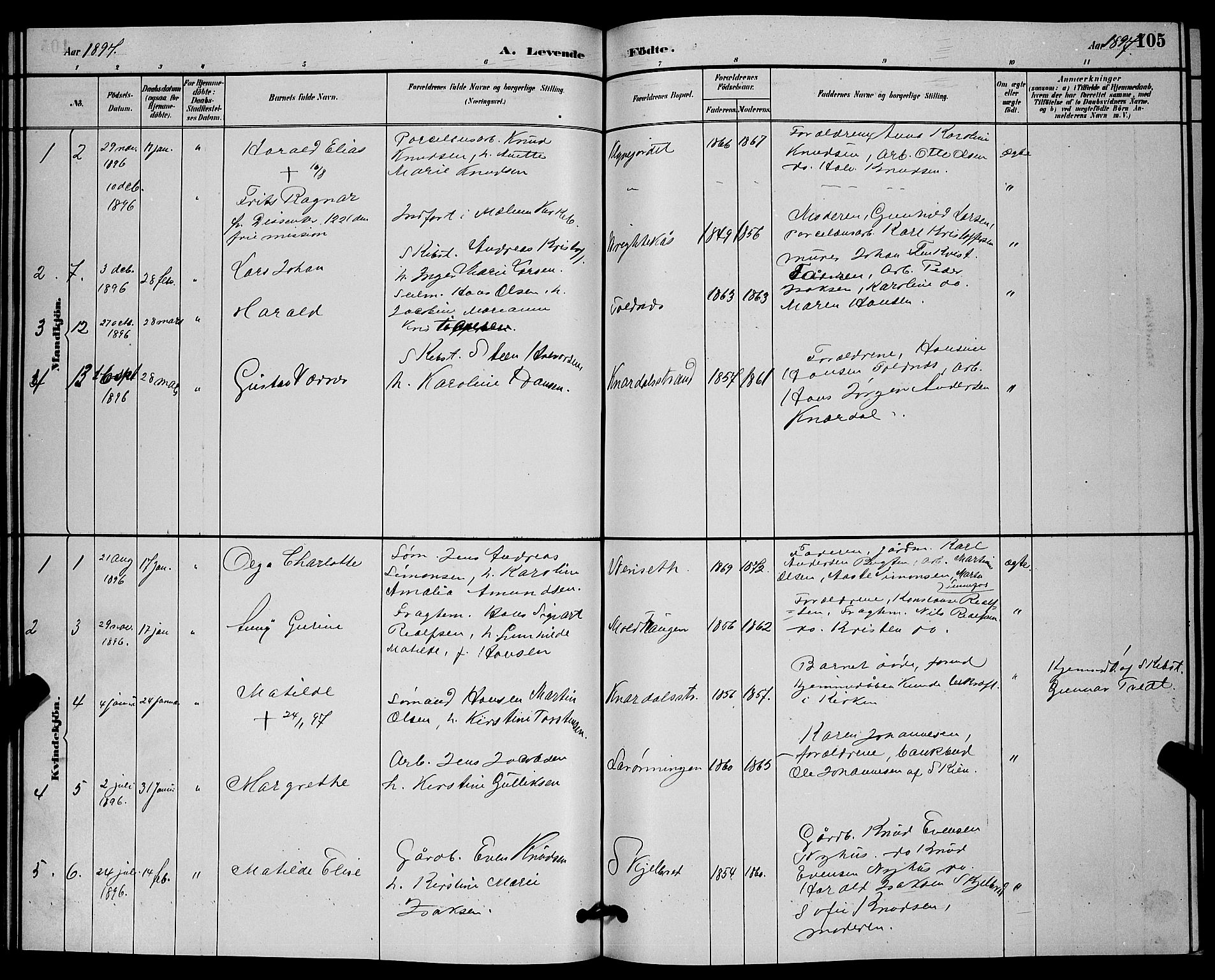 Solum kirkebøker, SAKO/A-306/G/Ga/L0007: Parish register (copy) no. I 7, 1884-1898, p. 105
