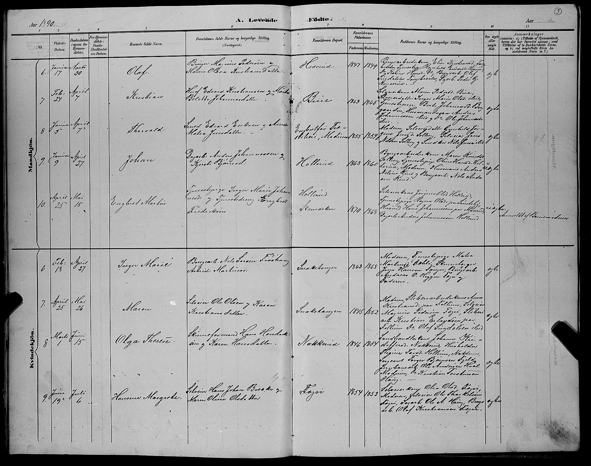 Hole kirkebøker, AV/SAKO-A-228/G/Gb/L0003: Parish register (copy) no. II 3, 1890-1901, p. 3