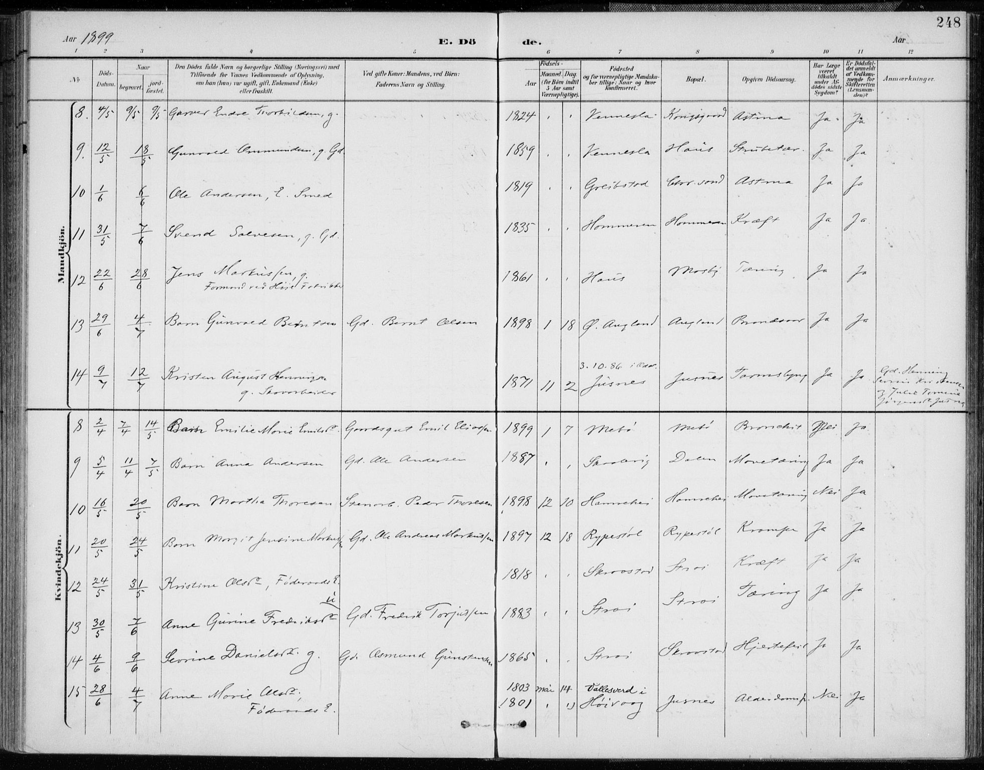 Oddernes sokneprestkontor, AV/SAK-1111-0033/F/Fa/Faa/L0010: Parish register (official) no. A 10, 1897-1911, p. 248