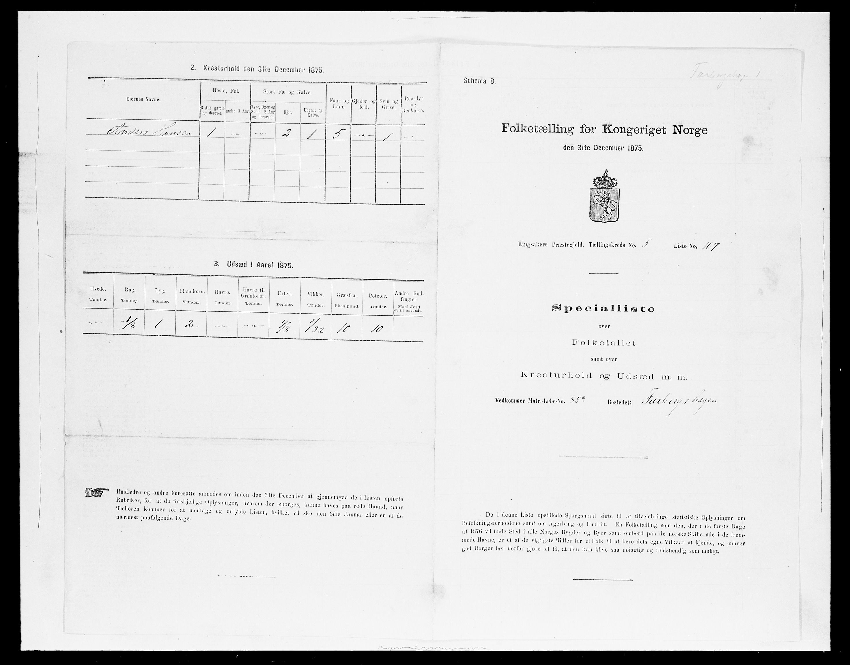 SAH, 1875 census for 0412P Ringsaker, 1875, p. 1143