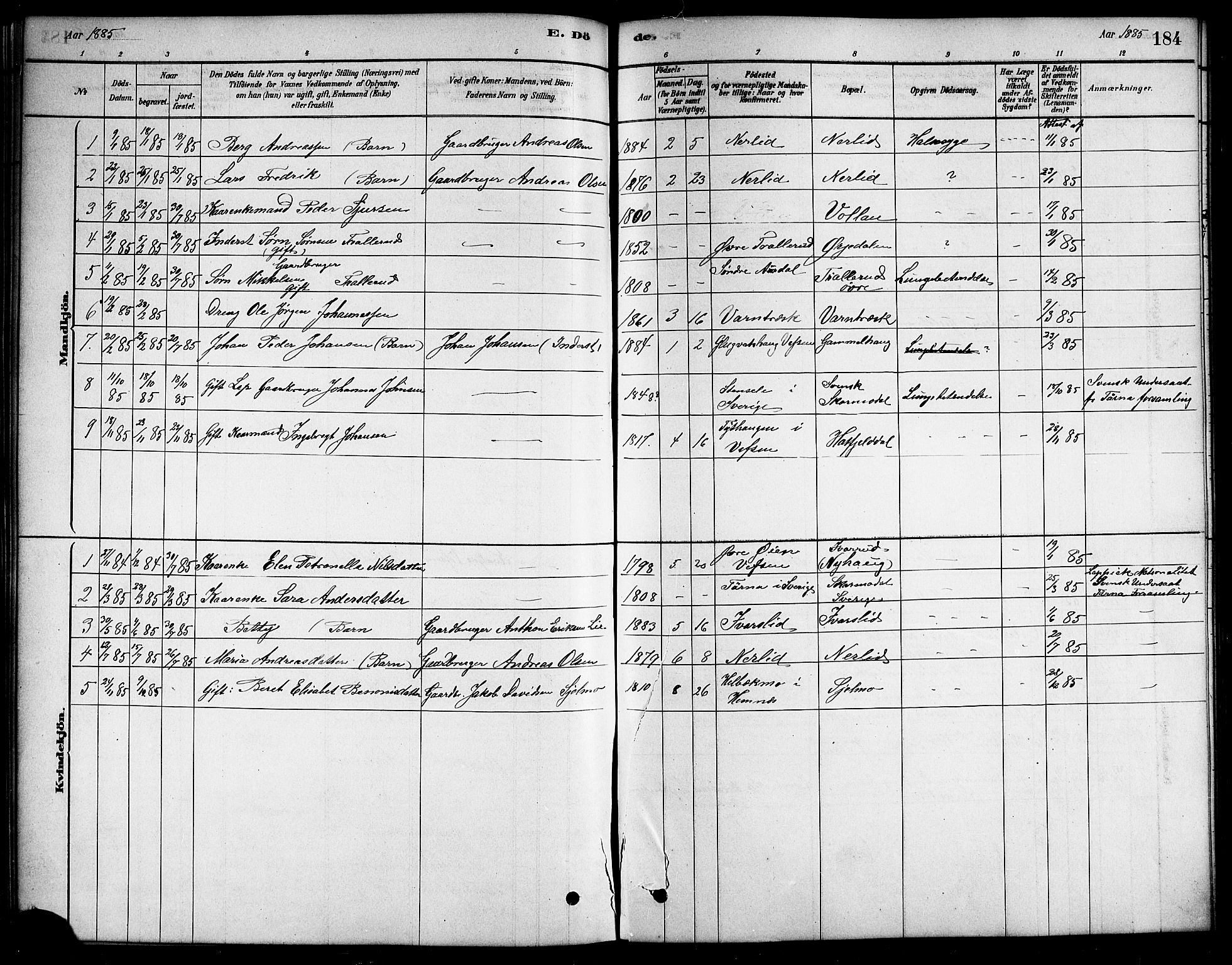 Ministerialprotokoller, klokkerbøker og fødselsregistre - Nordland, SAT/A-1459/823/L0330: Parish register (copy) no. 823C02, 1879-1916, p. 184