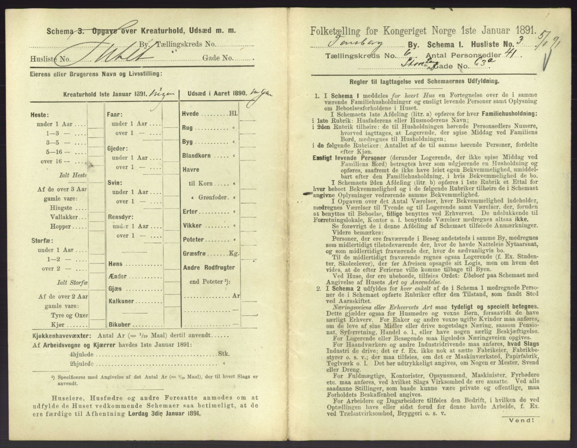 RA, 1891 census for 0705 Tønsberg, 1891, p. 248