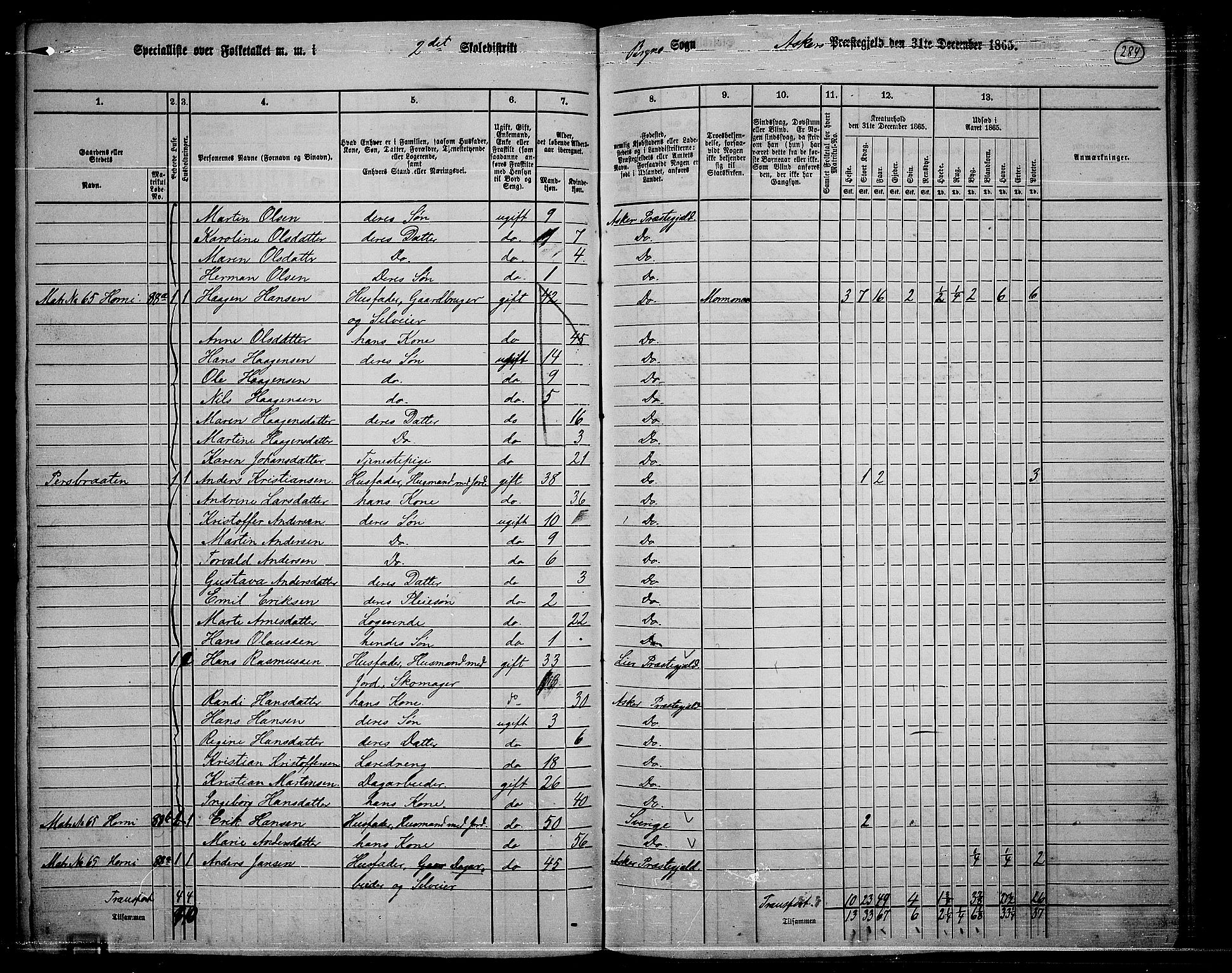 RA, 1865 census for Asker, 1865, p. 273