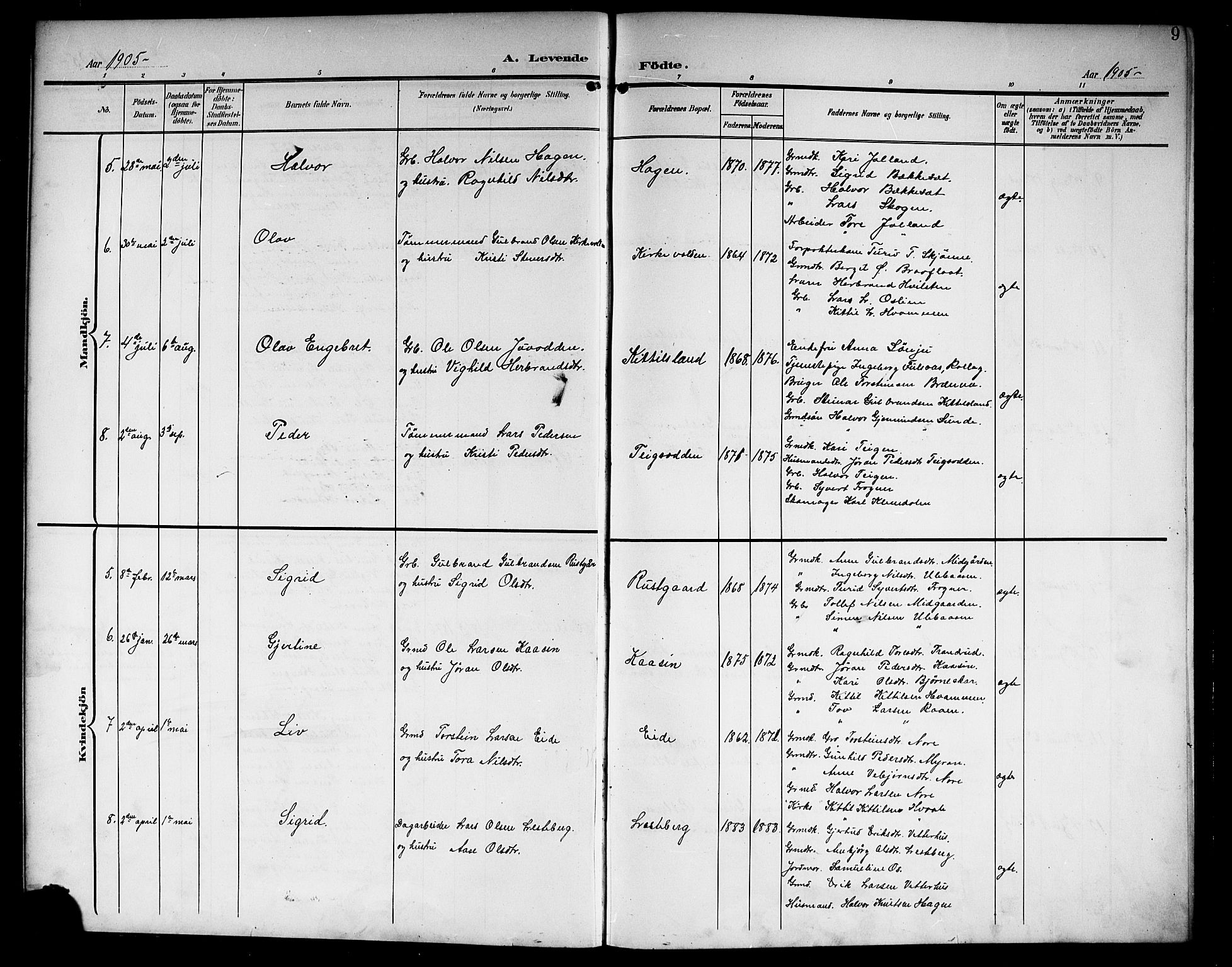 Nore kirkebøker, AV/SAKO-A-238/G/Ga/L0004: Parish register (copy) no. I 4, 1904-1919, p. 9