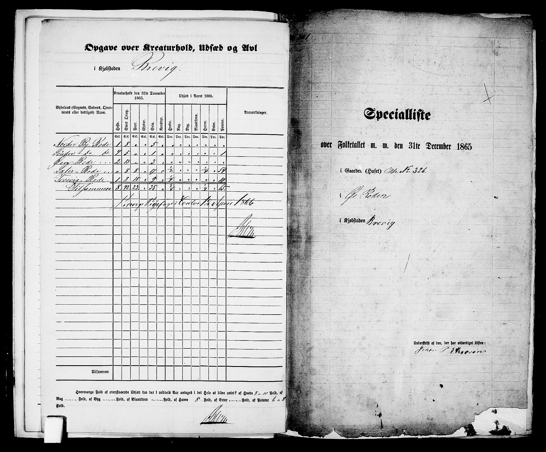 RA, 1865 census for Brevik, 1865, p. 10