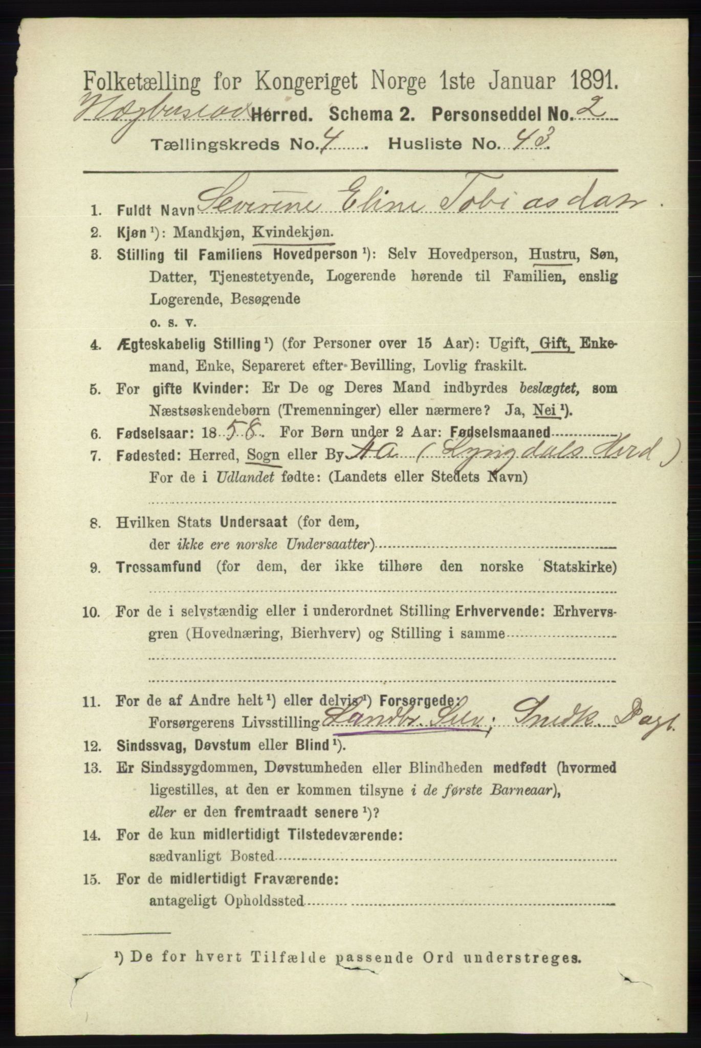 RA, 1891 census for 1034 Hægebostad, 1891, p. 1423