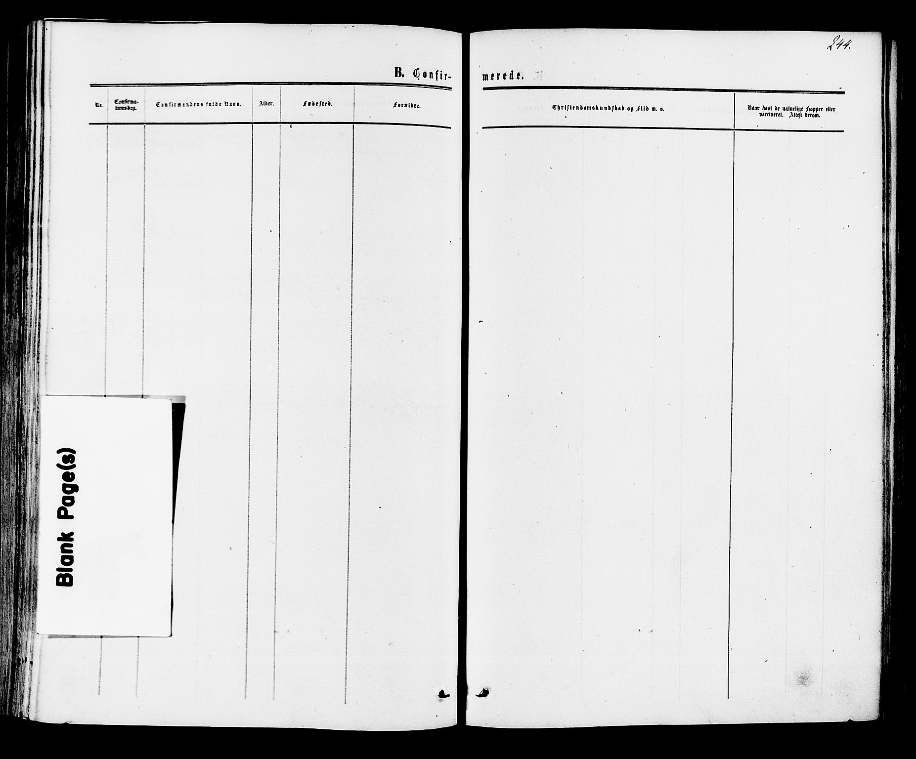 Rollag kirkebøker, AV/SAKO-A-240/F/Fa/L0009: Parish register (official) no. I 9, 1860-1874, p. 244