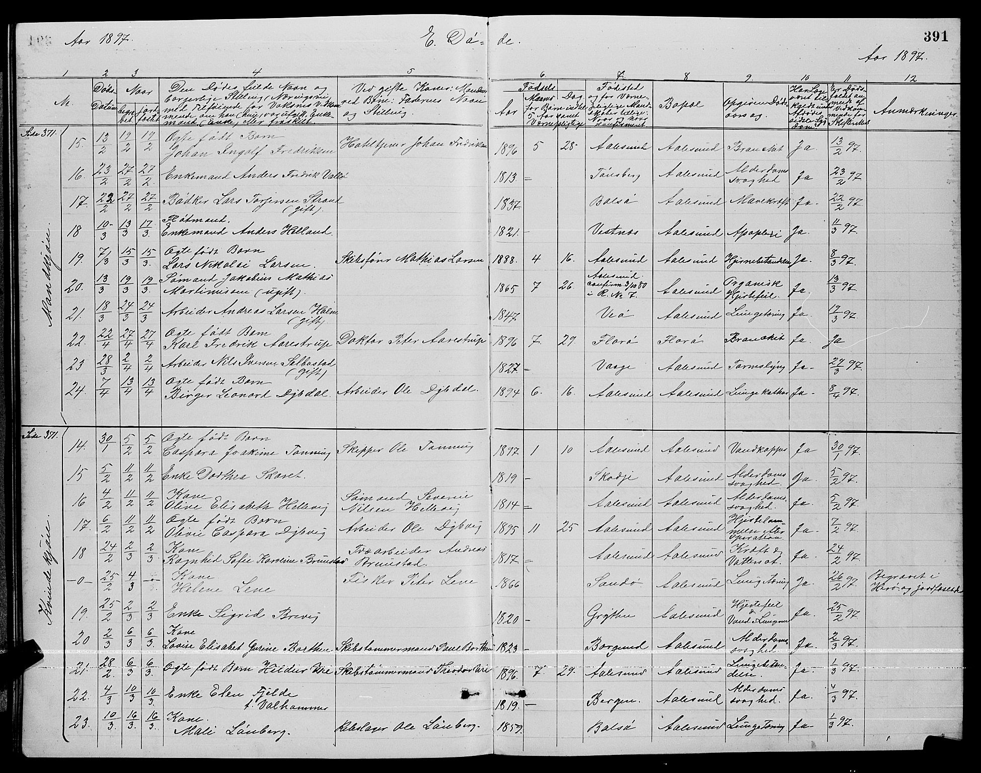 Ministerialprotokoller, klokkerbøker og fødselsregistre - Møre og Romsdal, AV/SAT-A-1454/529/L0467: Parish register (copy) no. 529C04, 1889-1897, p. 391