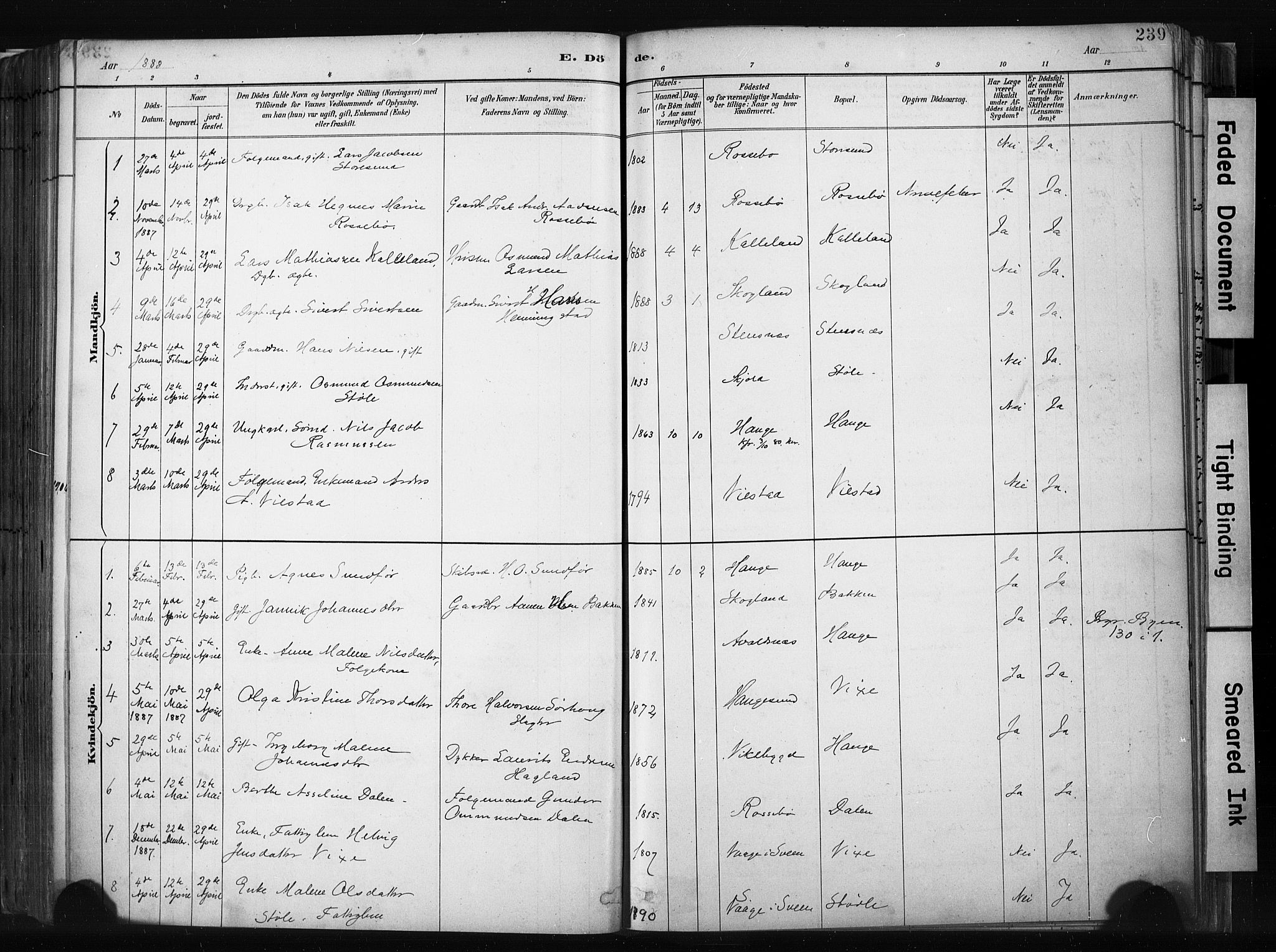 Haugesund sokneprestkontor, SAST/A -101863/H/Ha/Haa/L0004: Parish register (official) no. A 4, 1886-1908, p. 239