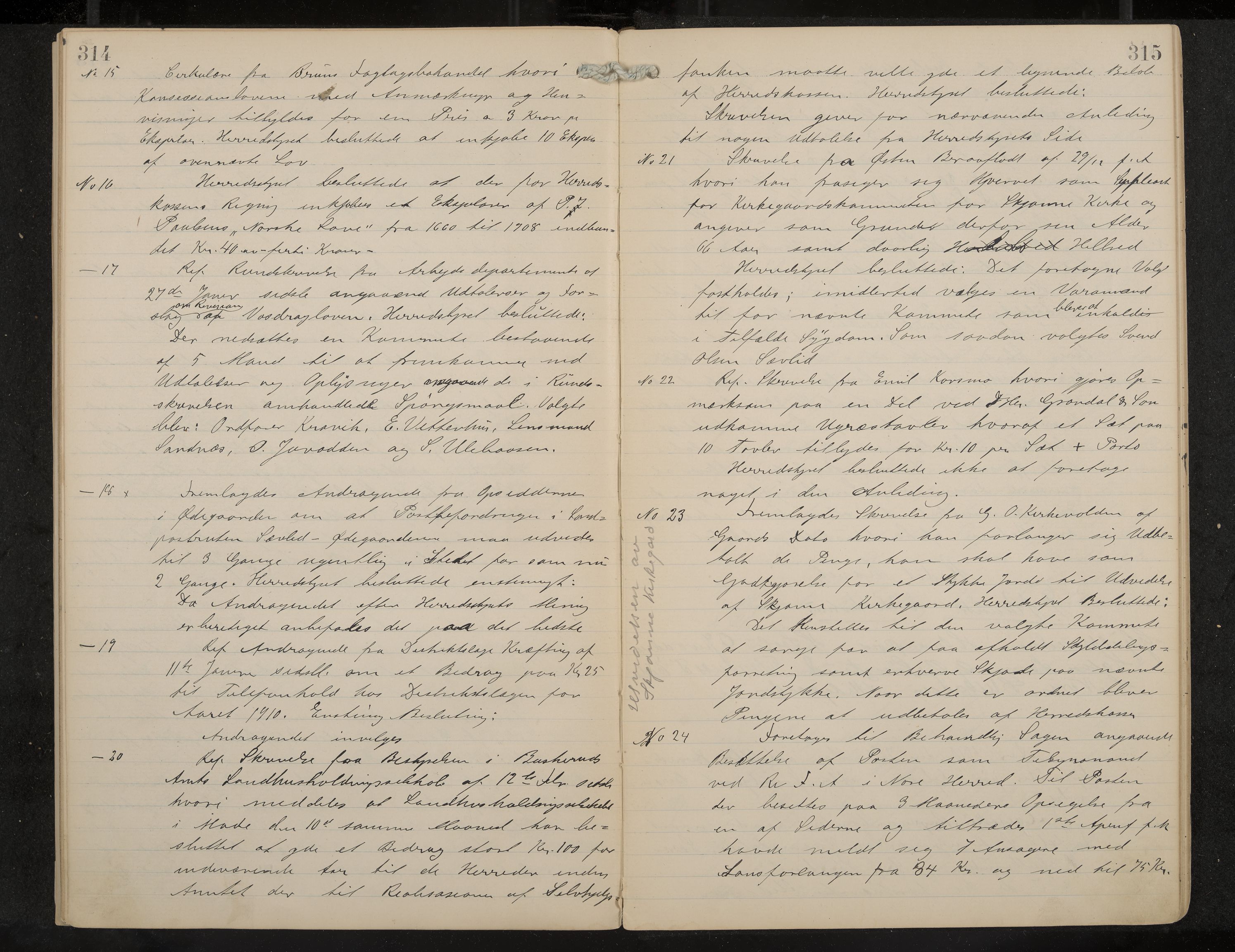 Nore formannskap og sentraladministrasjon, IKAK/0633021-2/A/Aa/L0001: Møtebok, 1901-1911, p. 314-315