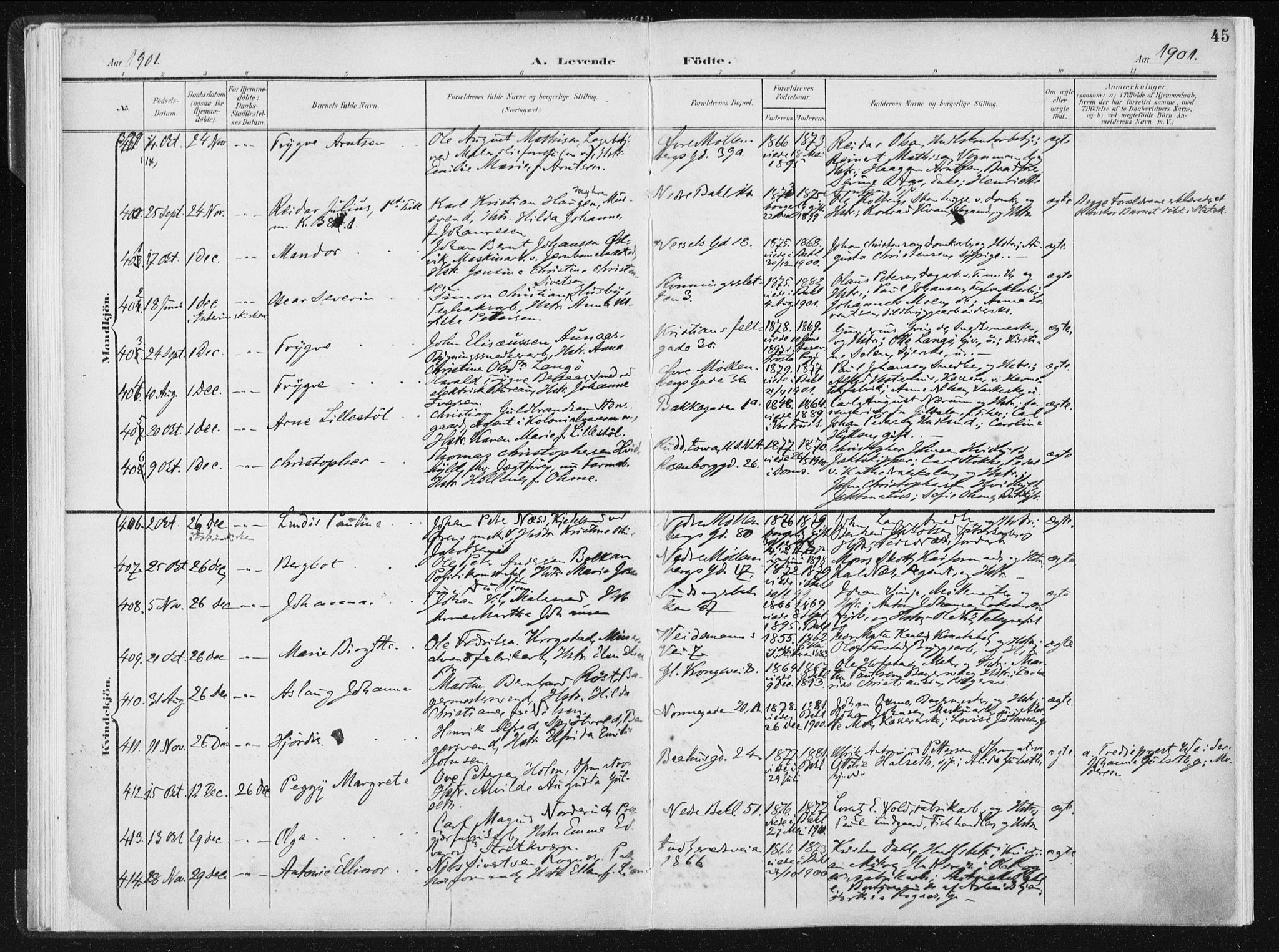 Ministerialprotokoller, klokkerbøker og fødselsregistre - Sør-Trøndelag, AV/SAT-A-1456/604/L0199: Parish register (official) no. 604A20I, 1901-1906, p. 45