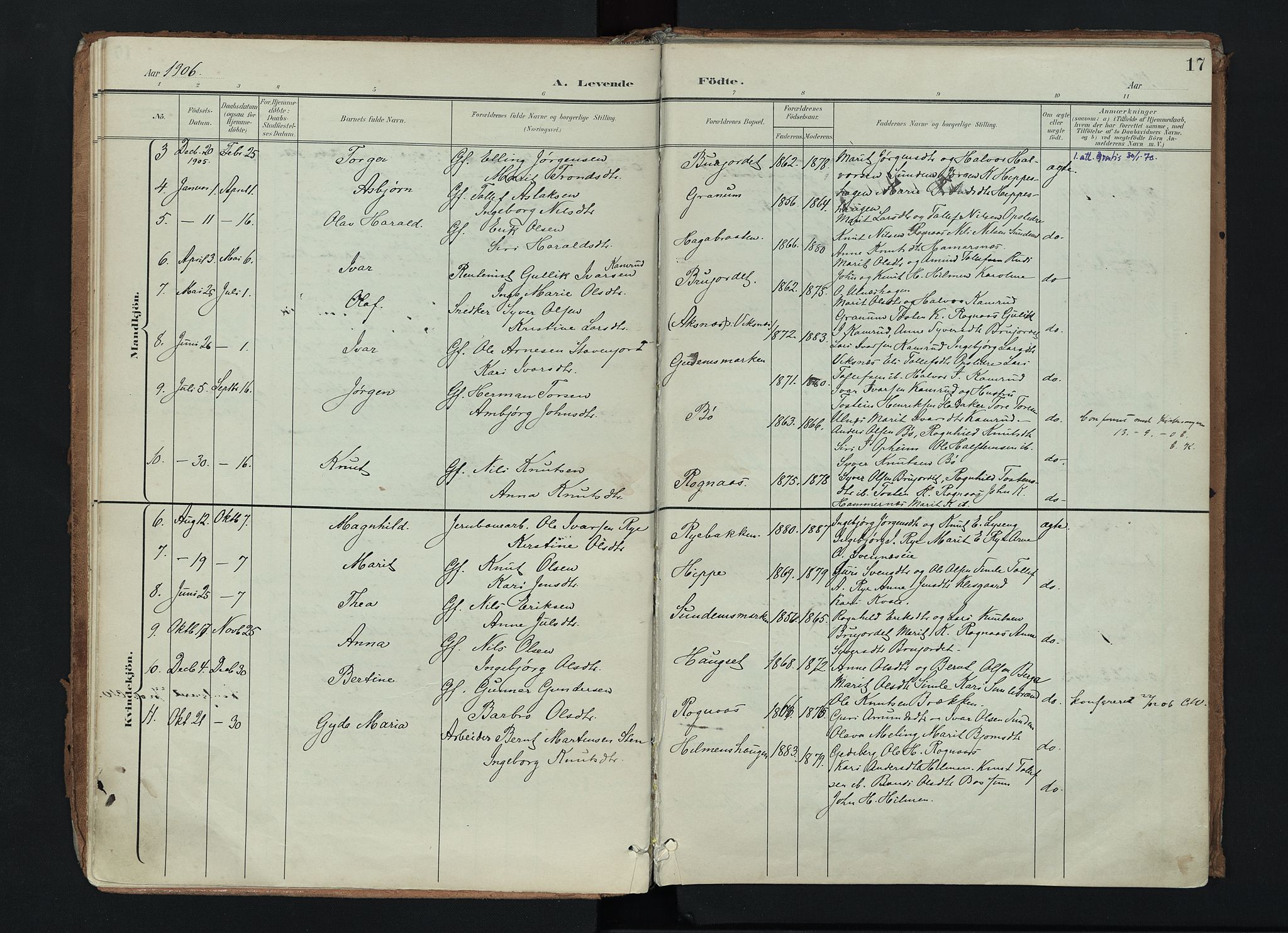 Nord-Aurdal prestekontor, SAH/PREST-132/H/Ha/Haa/L0017: Parish register (official) no. 17, 1897-1926, p. 17