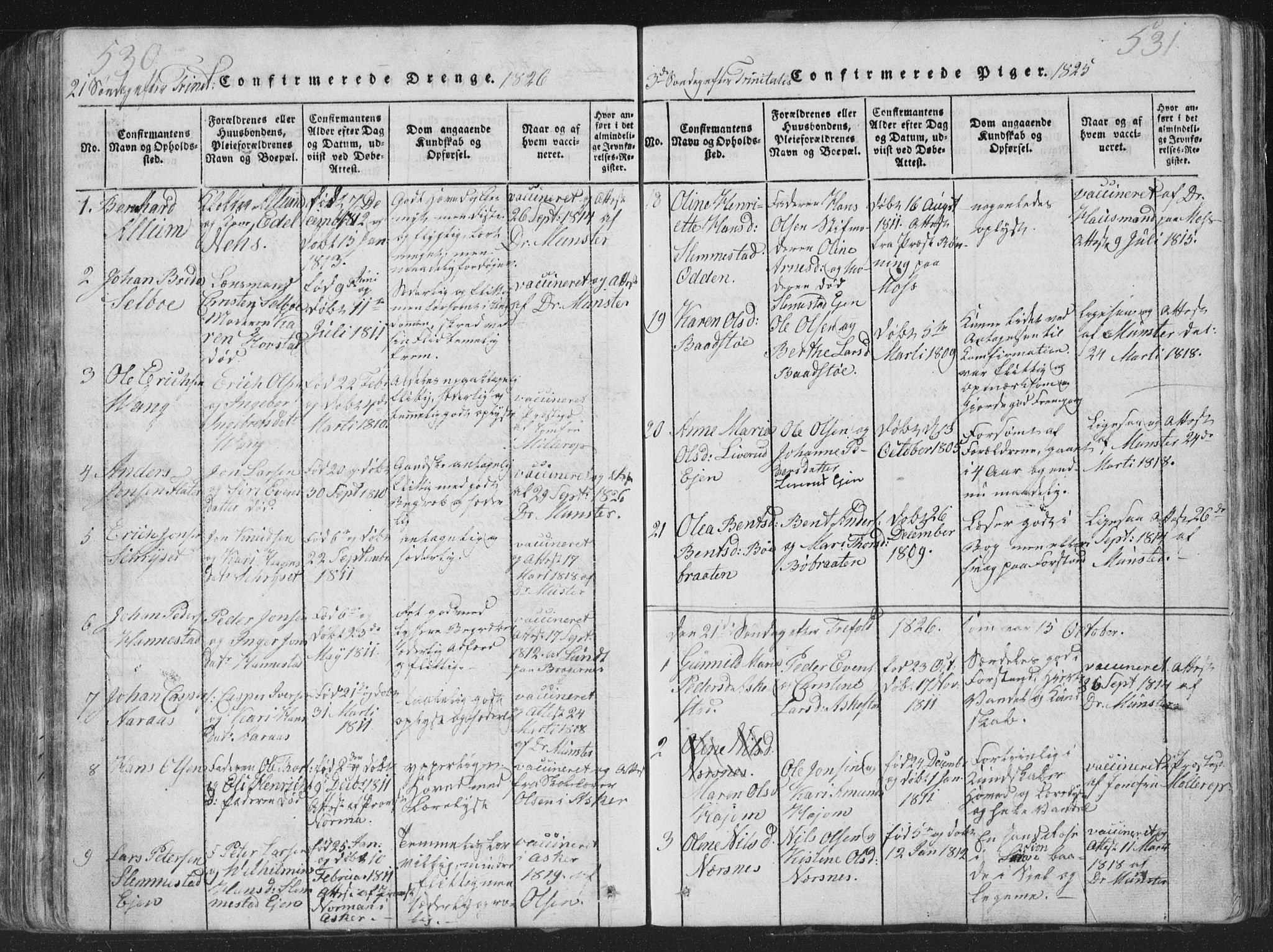 Røyken kirkebøker, AV/SAKO-A-241/G/Ga/L0003: Parish register (copy) no. 3, 1814-1856, p. 530-531