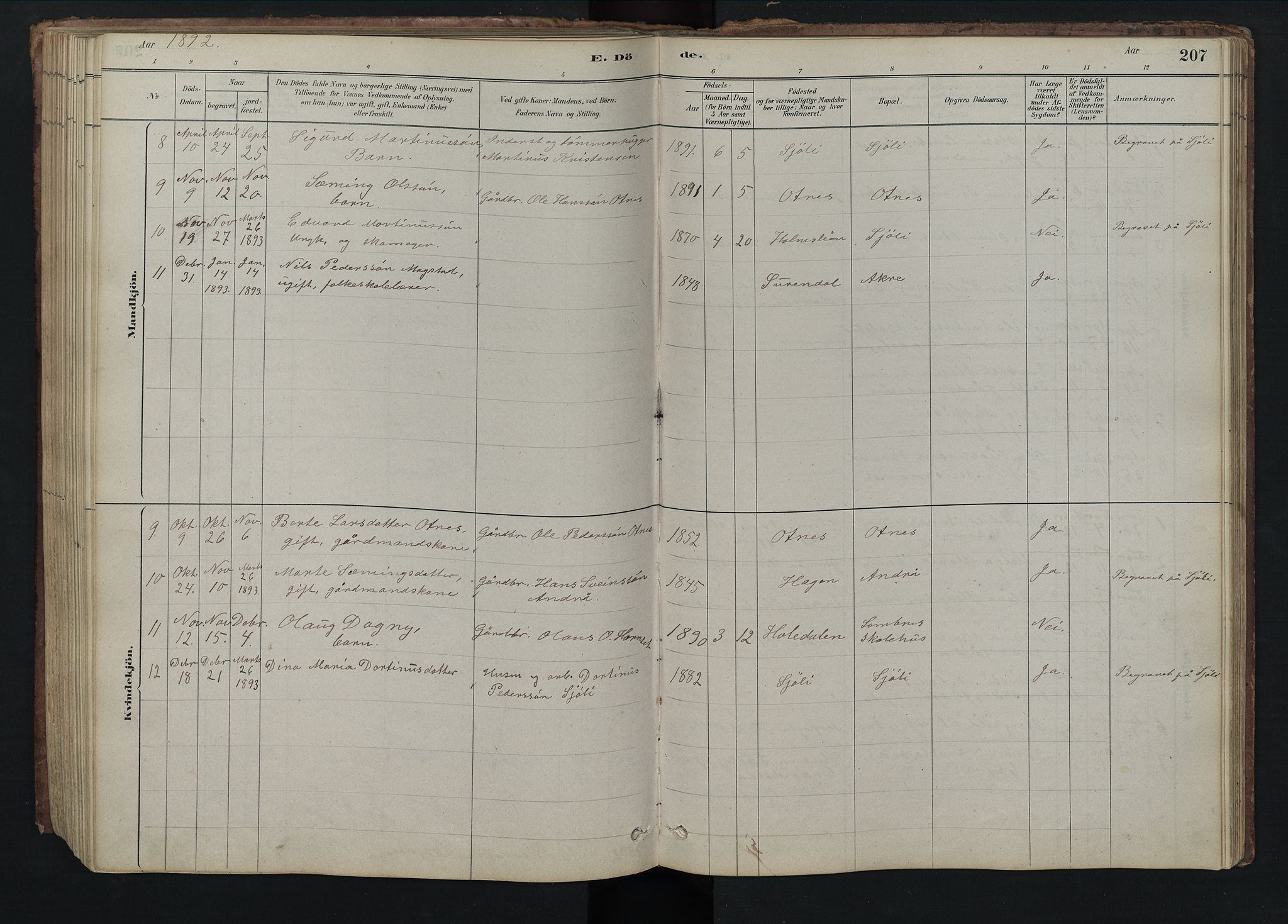 Rendalen prestekontor, SAH/PREST-054/H/Ha/Hab/L0009: Parish register (copy) no. 9, 1879-1902, p. 207
