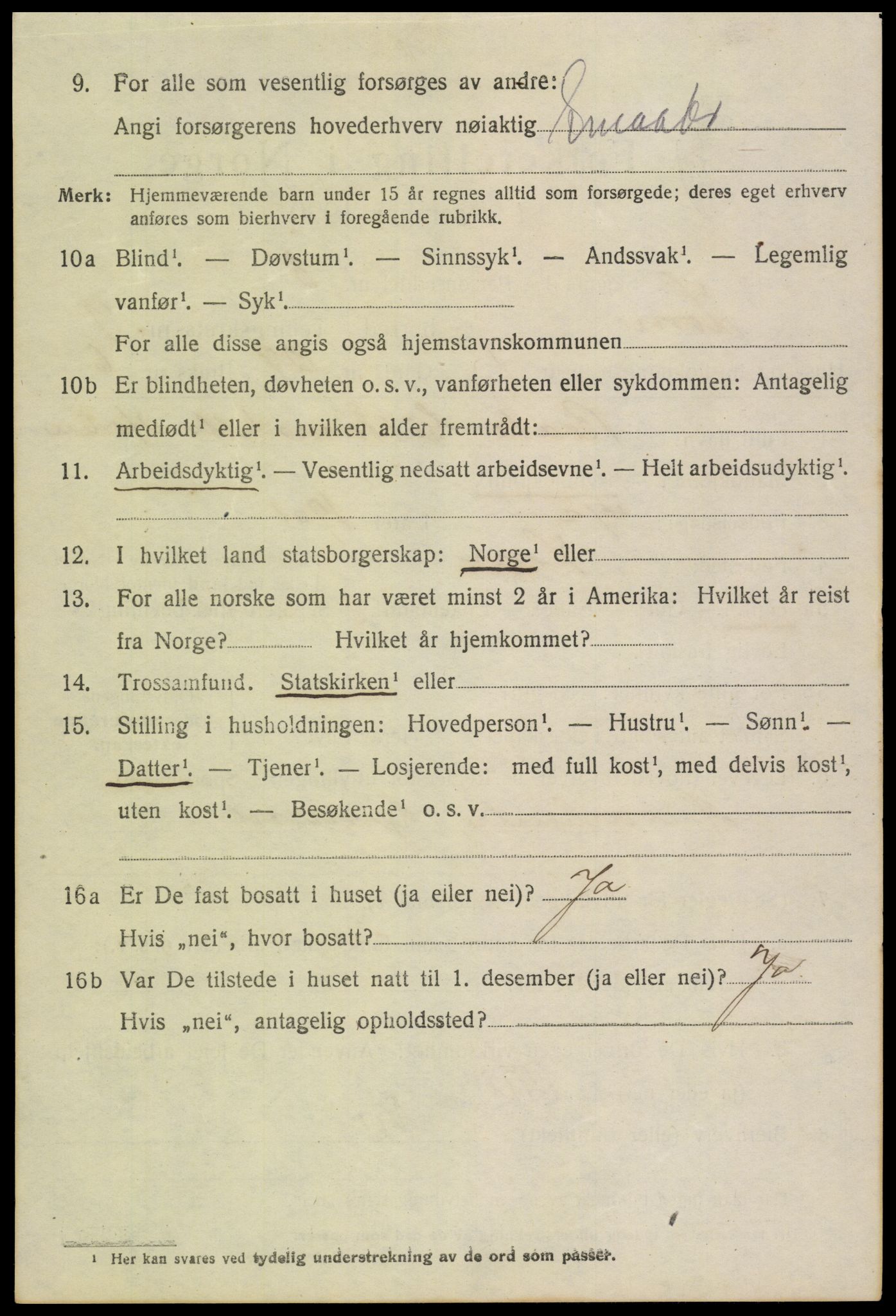 SAH, 1920 census for Lom, 1920, p. 5081