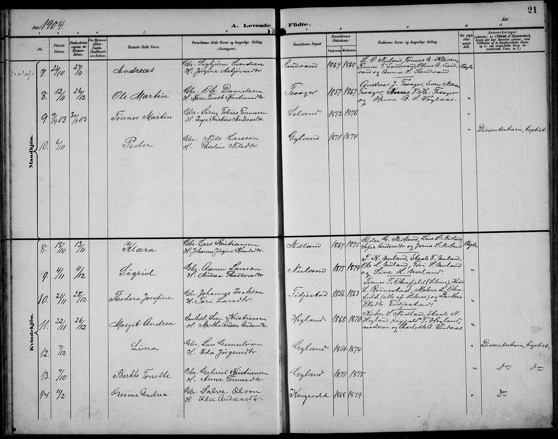 Bakke sokneprestkontor, AV/SAK-1111-0002/F/Fb/Fbb/L0004: Parish register (copy) no. B 4, 1896-1927, p. 21