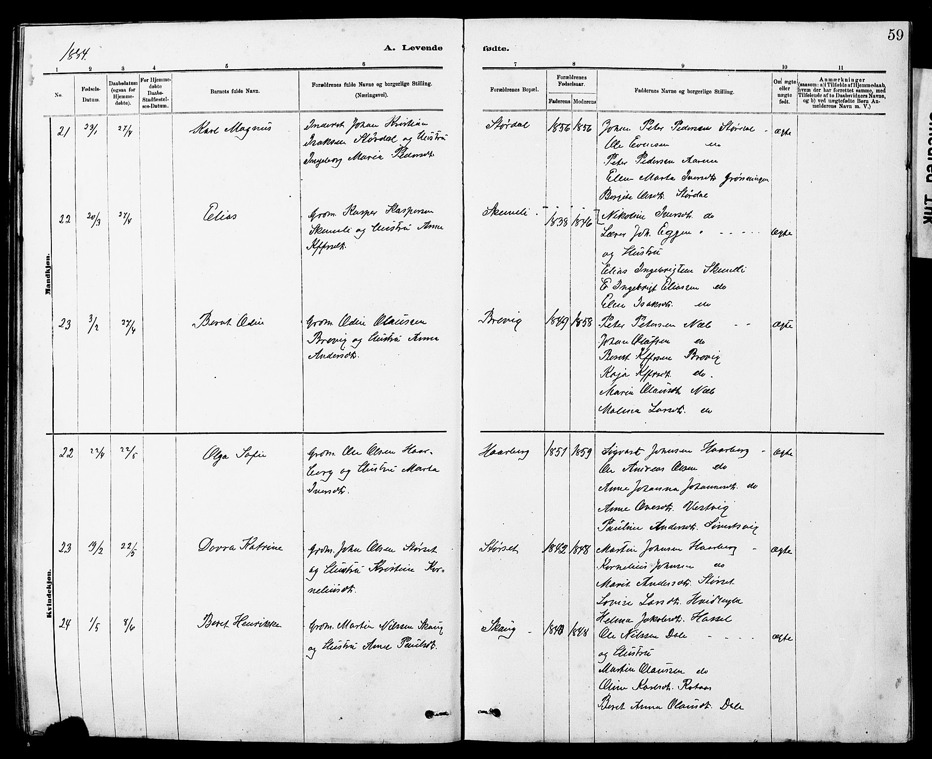 Ministerialprotokoller, klokkerbøker og fødselsregistre - Sør-Trøndelag, AV/SAT-A-1456/647/L0636: Parish register (copy) no. 647C01, 1881-1884, p. 59