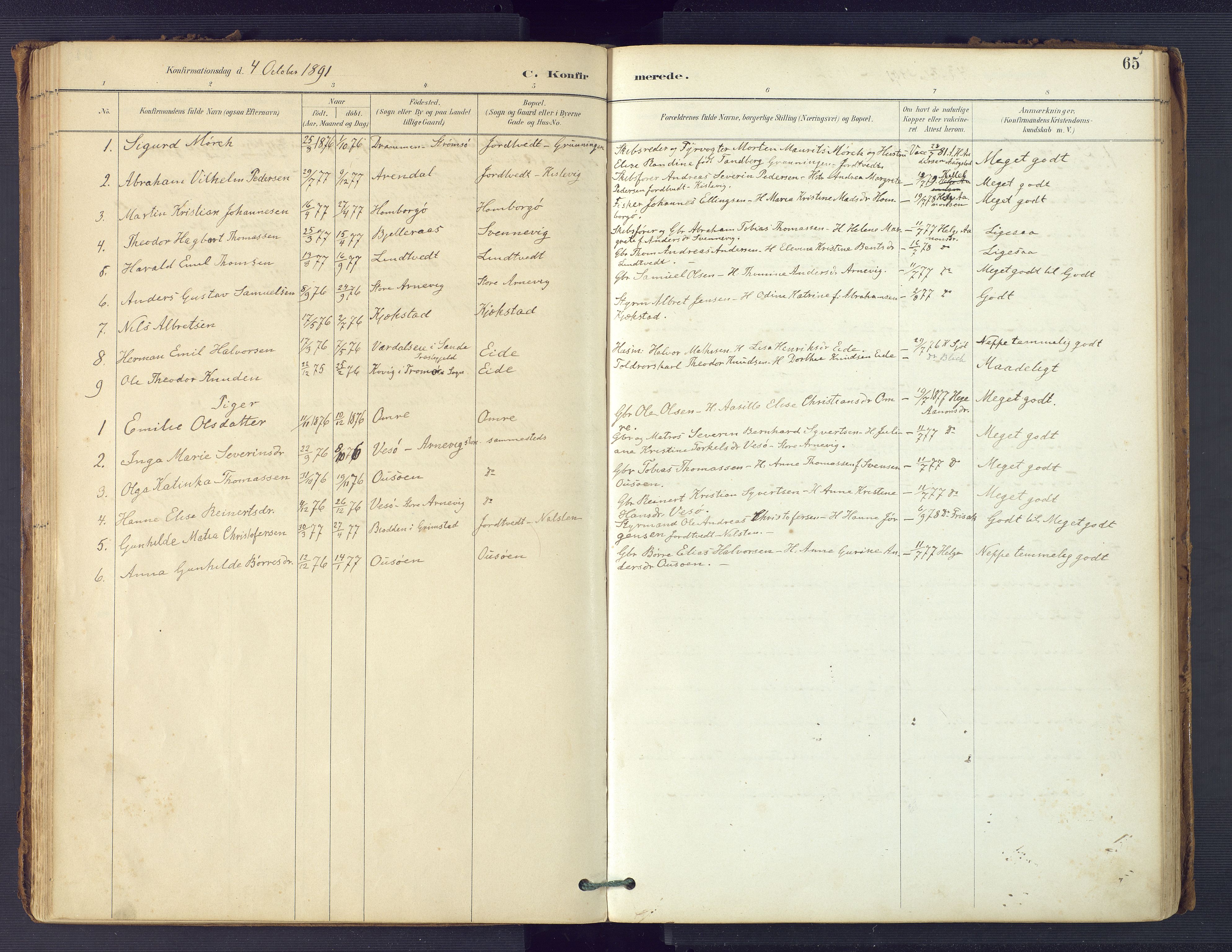 Hommedal sokneprestkontor, SAK/1111-0023/F/Fa/Faa/L0003: Parish register (official) no. A 3, 1885-1916, p. 65