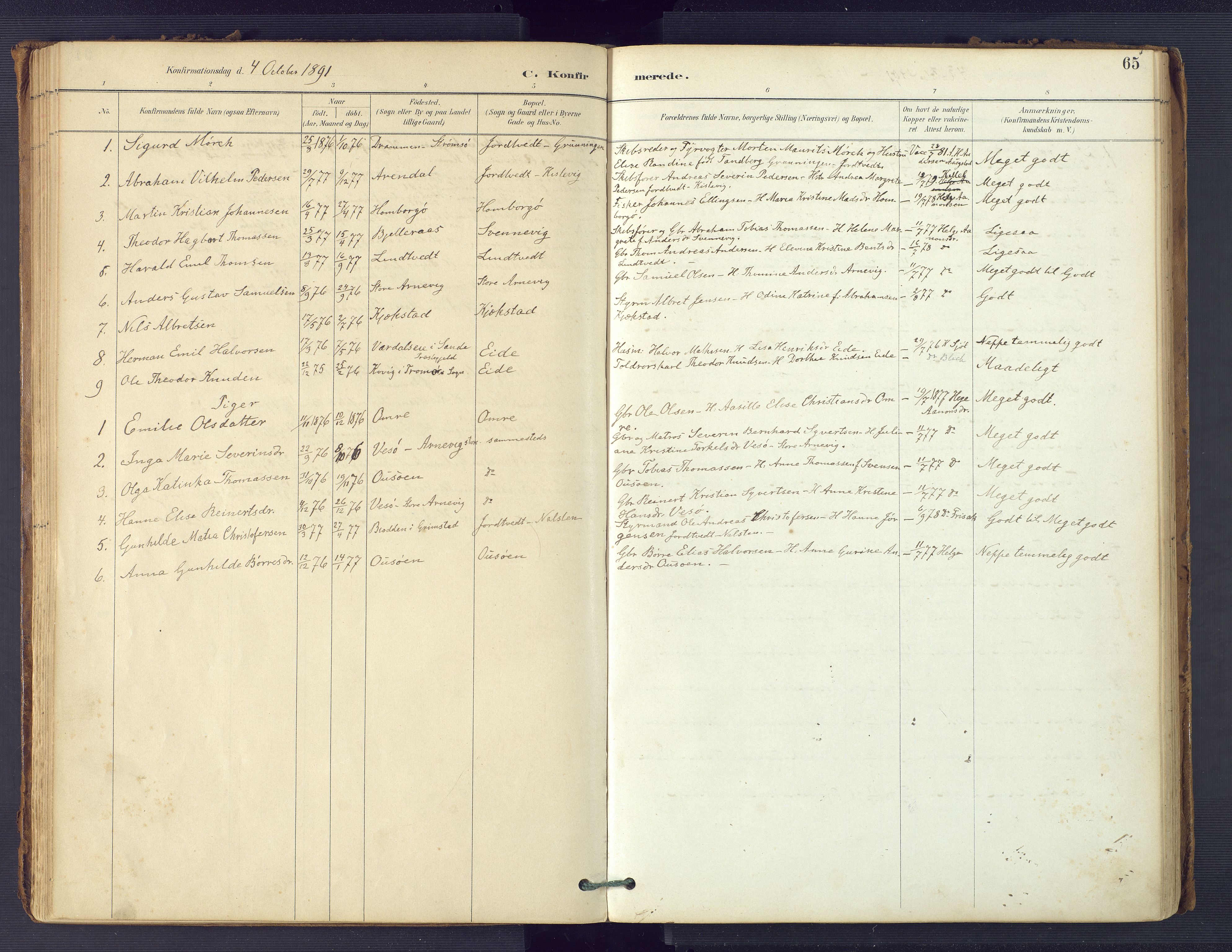 Hommedal sokneprestkontor, AV/SAK-1111-0023/F/Fa/Faa/L0003: Parish register (official) no. A 3, 1885-1916, p. 65