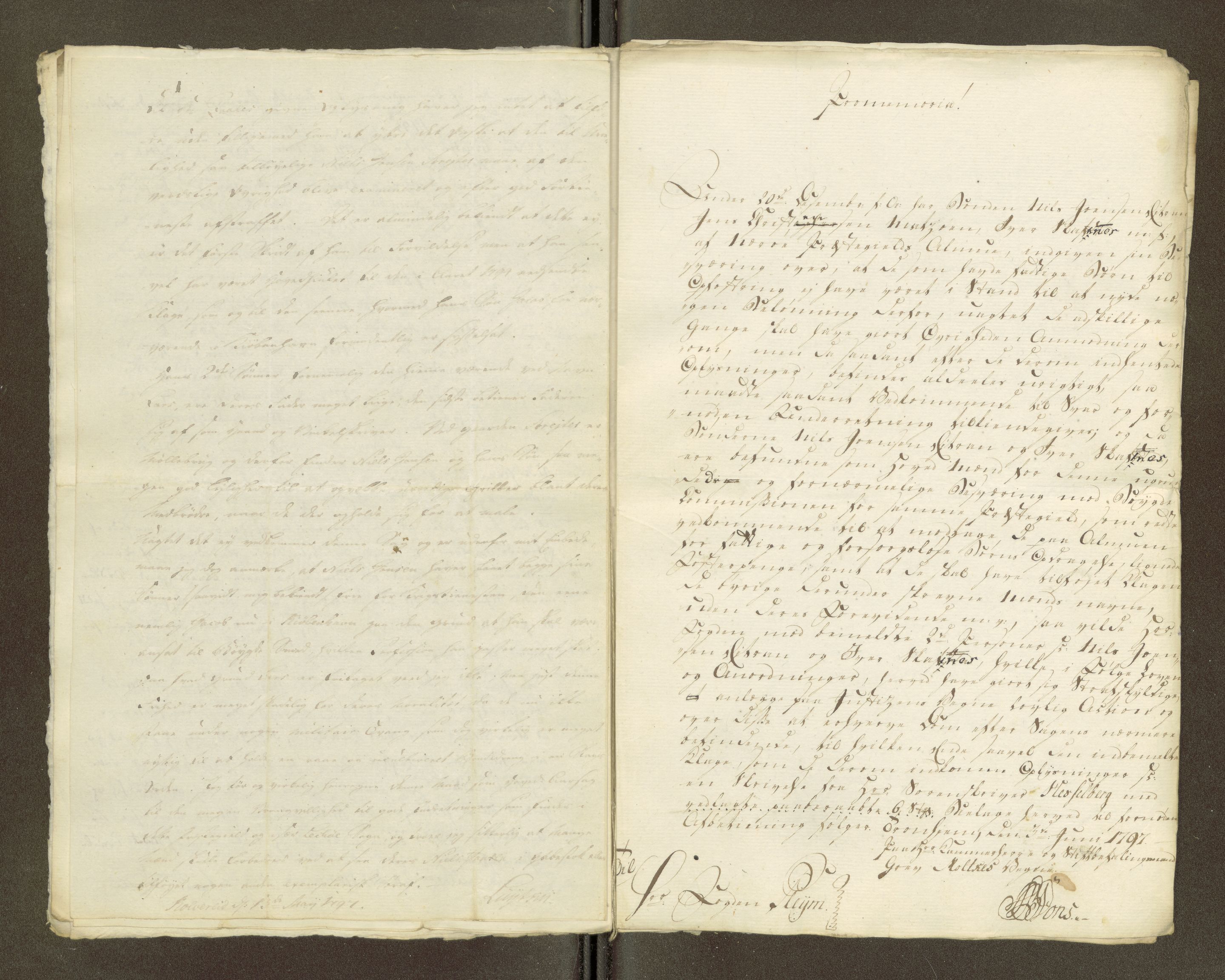 Namdal sorenskriveri, AV/SAT-A-4133/1/1/1O/1Oa/L0007: Sivile og offentlige saker, 1798, p. 310