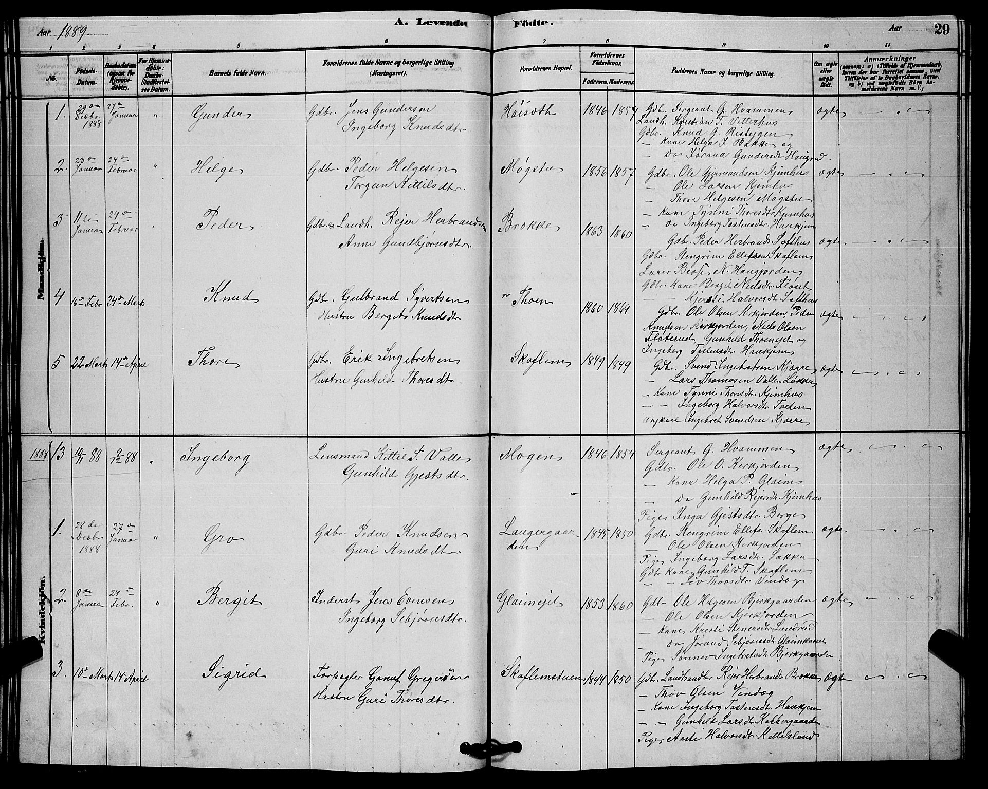 Rollag kirkebøker, SAKO/A-240/G/Gb/L0002: Parish register (copy) no. II 2, 1878-1898, p. 29