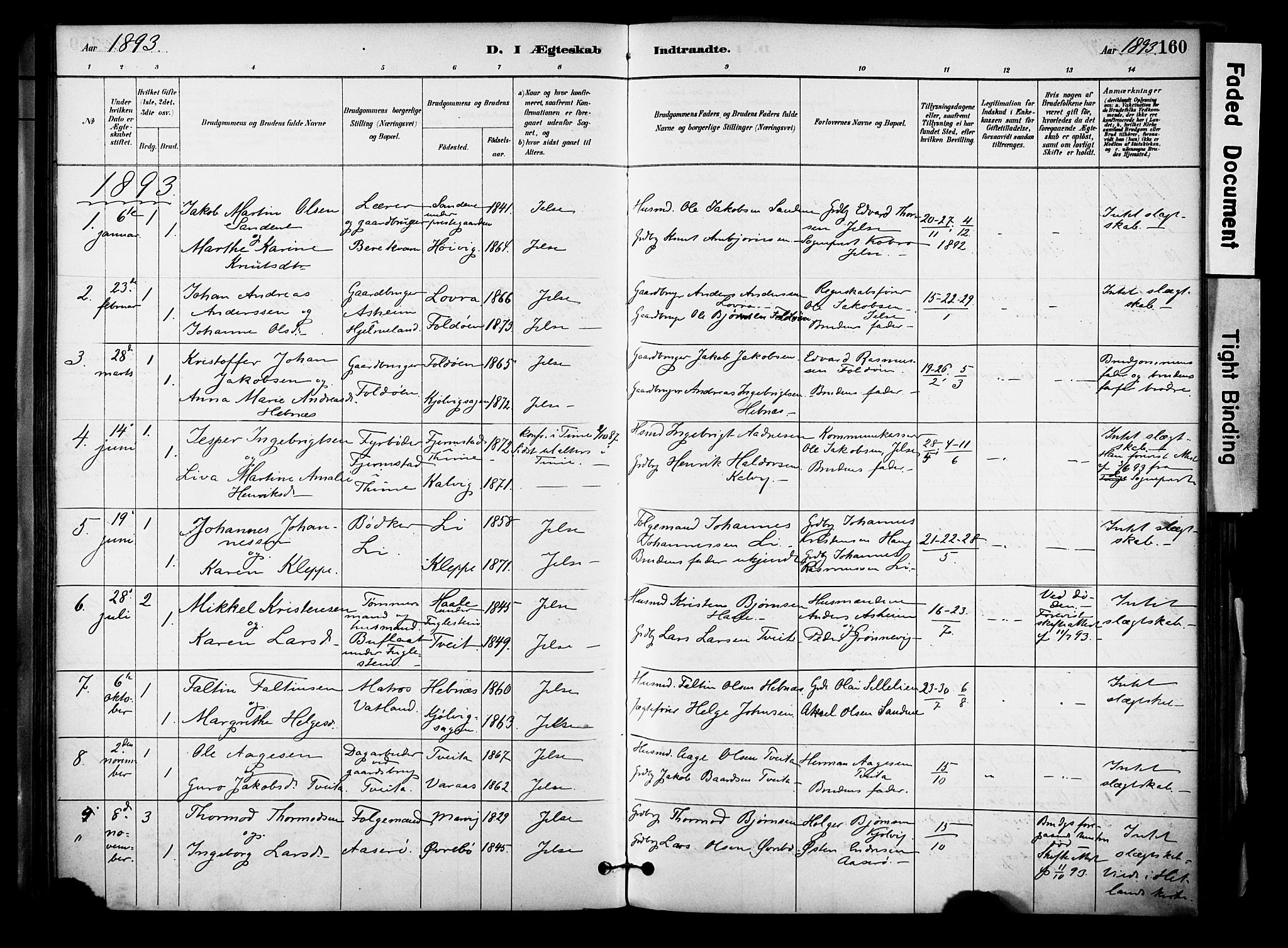 Jelsa sokneprestkontor, AV/SAST-A-101842/01/IV: Parish register (official) no. A 10, 1884-1906, p. 160