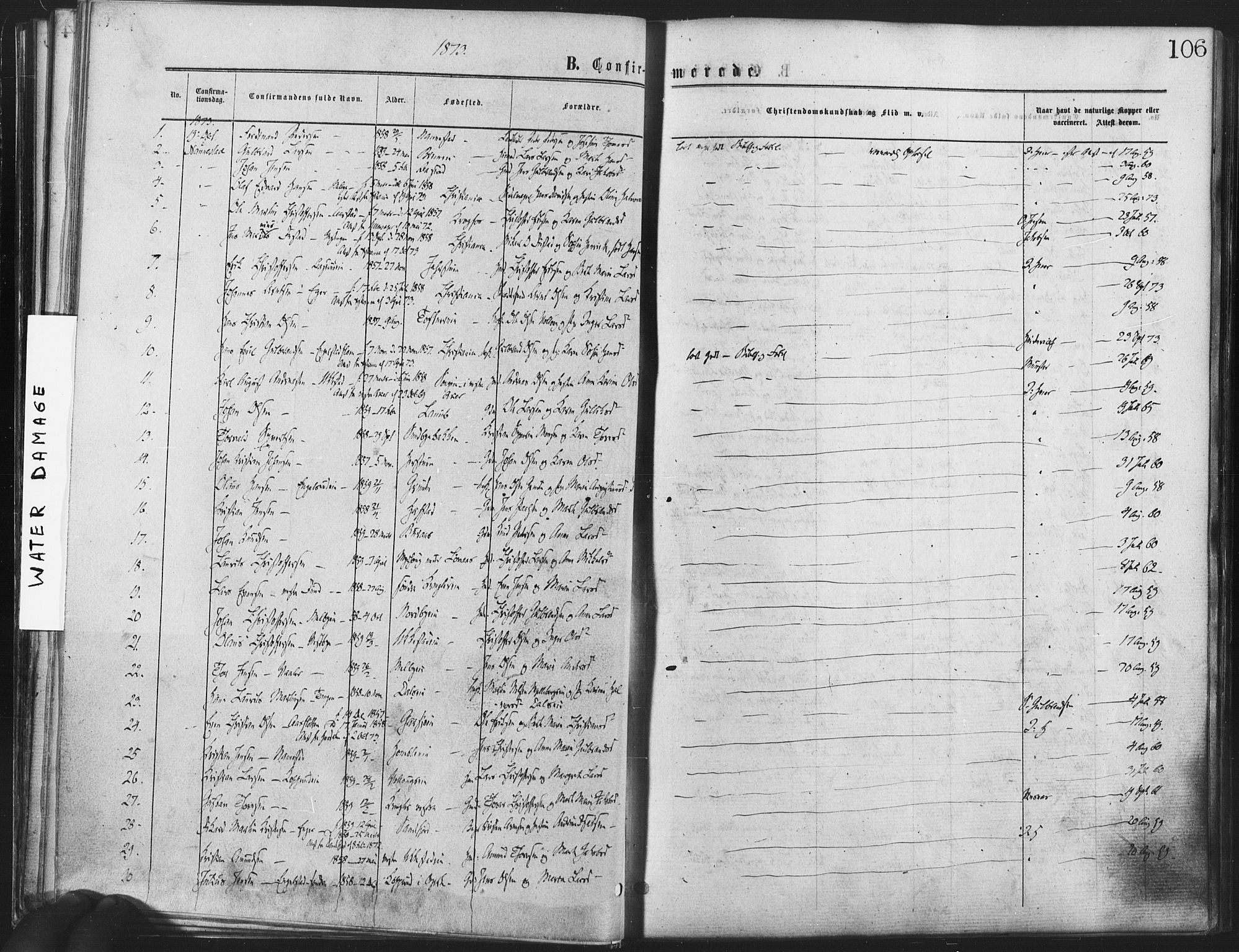 Nannestad prestekontor Kirkebøker, SAO/A-10414a/F/Fa/L0013: Parish register (official) no. I 13, 1873-1880, p. 106