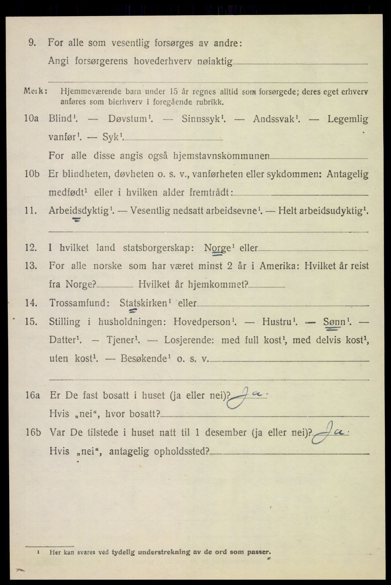 SAH, 1920 census for Nes (Hedmark), 1920, p. 7529