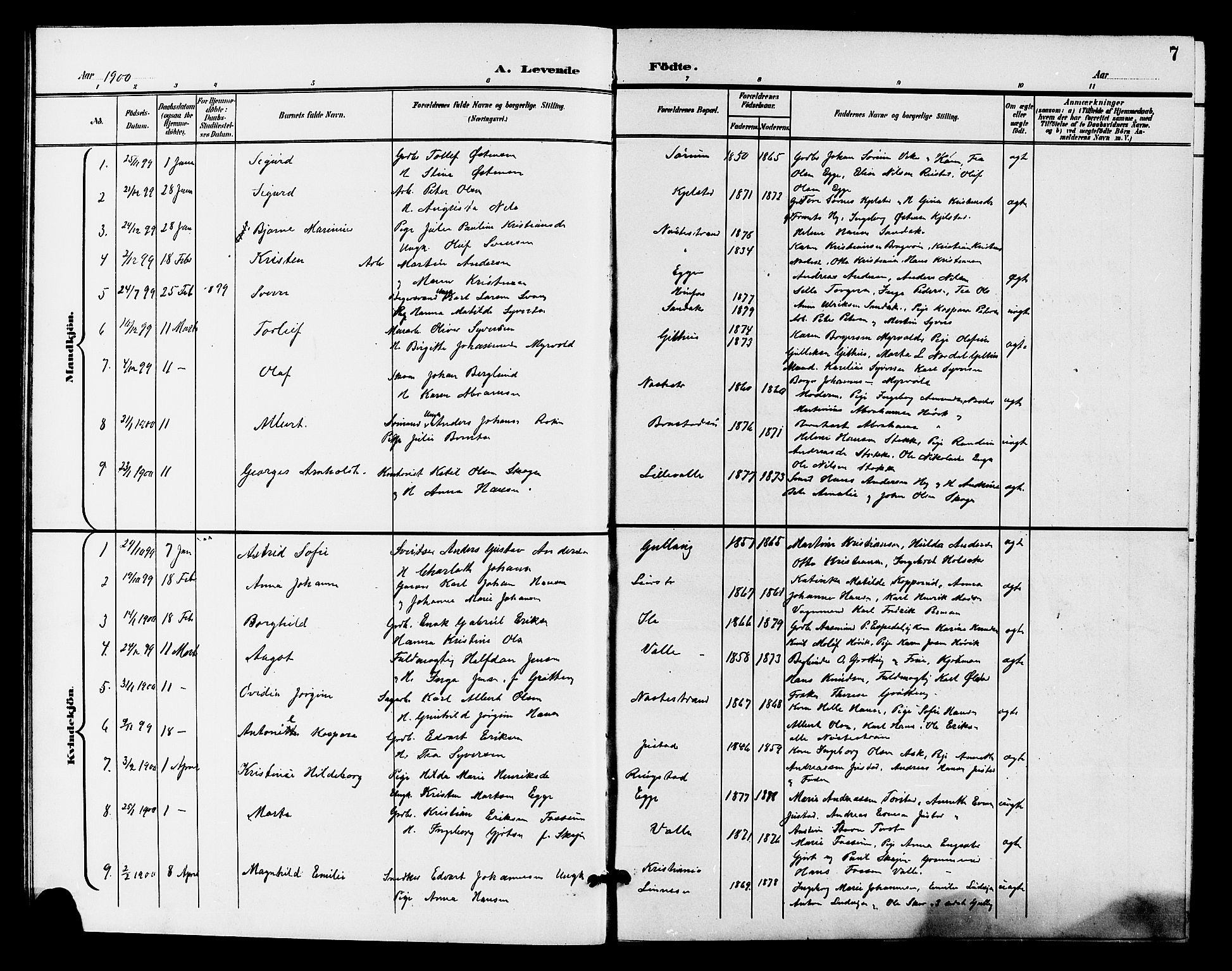 Lier kirkebøker, AV/SAKO-A-230/G/Gb/L0002: Parish register (copy) no. II 2, 1899-1911, p. 7