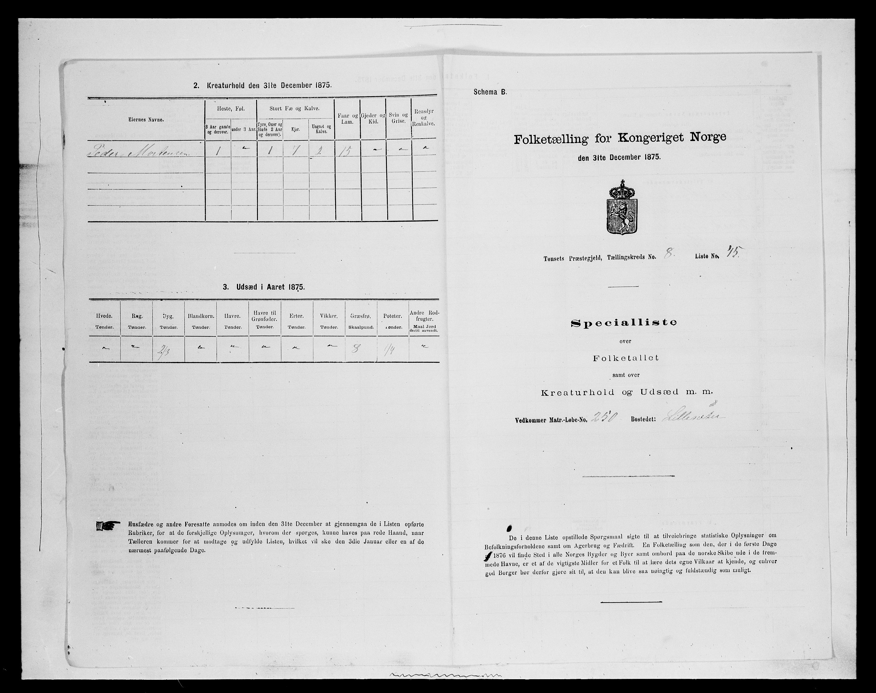 SAH, 1875 census for 0437P Tynset, 1875, p. 900