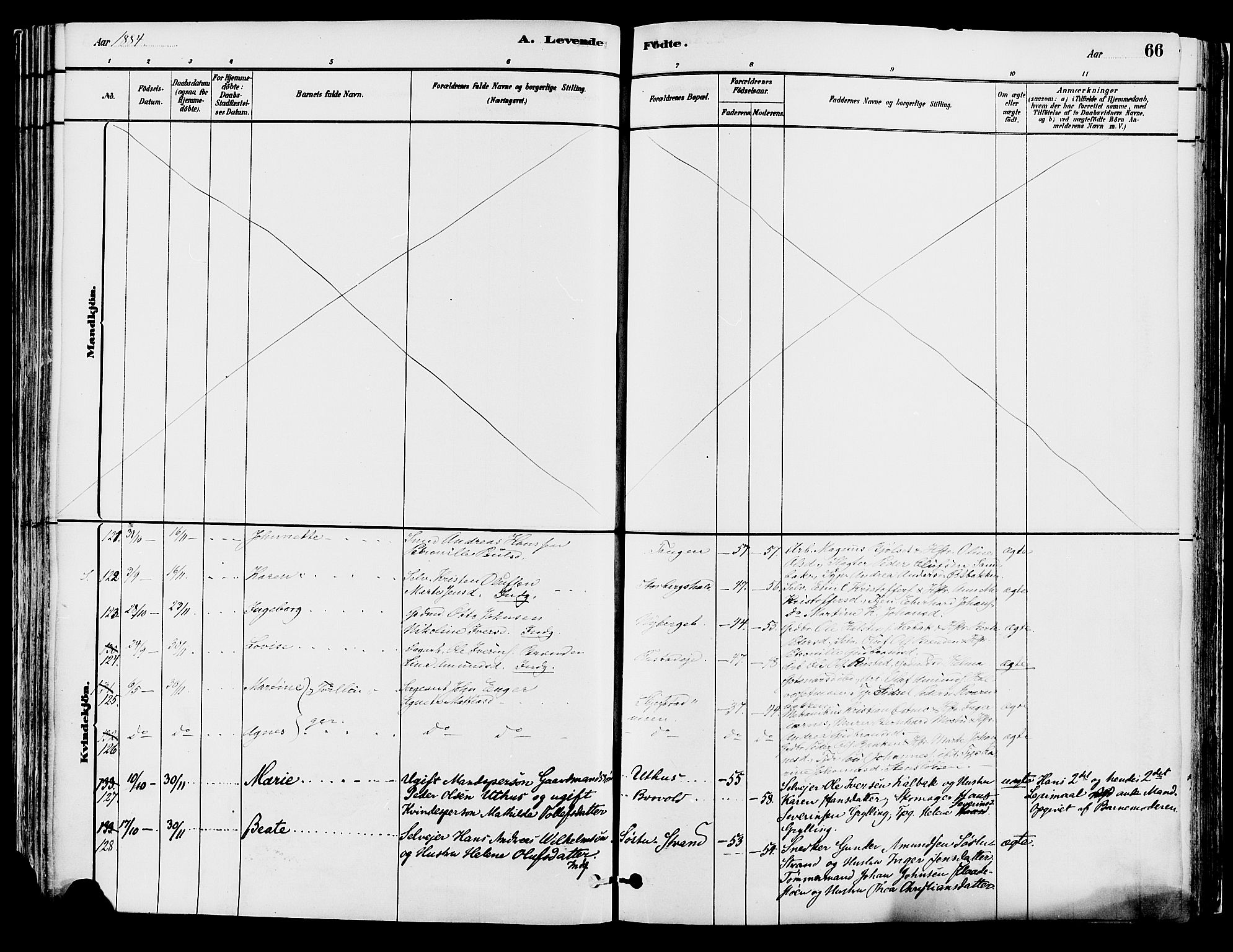 Elverum prestekontor, AV/SAH-PREST-044/H/Ha/Haa/L0013: Parish register (official) no. 13, 1880-1890, p. 66