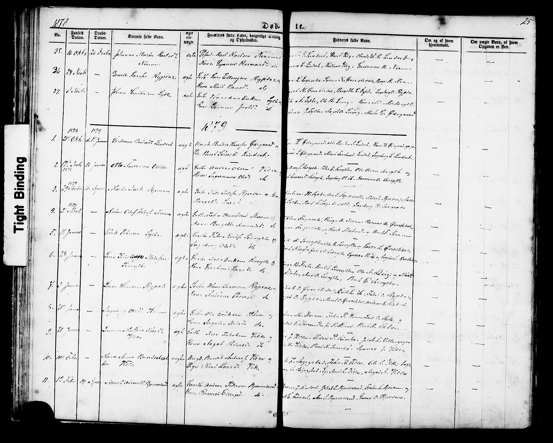 Ministerialprotokoller, klokkerbøker og fødselsregistre - Møre og Romsdal, SAT/A-1454/541/L0547: Parish register (copy) no. 541C02, 1867-1921, p. 25