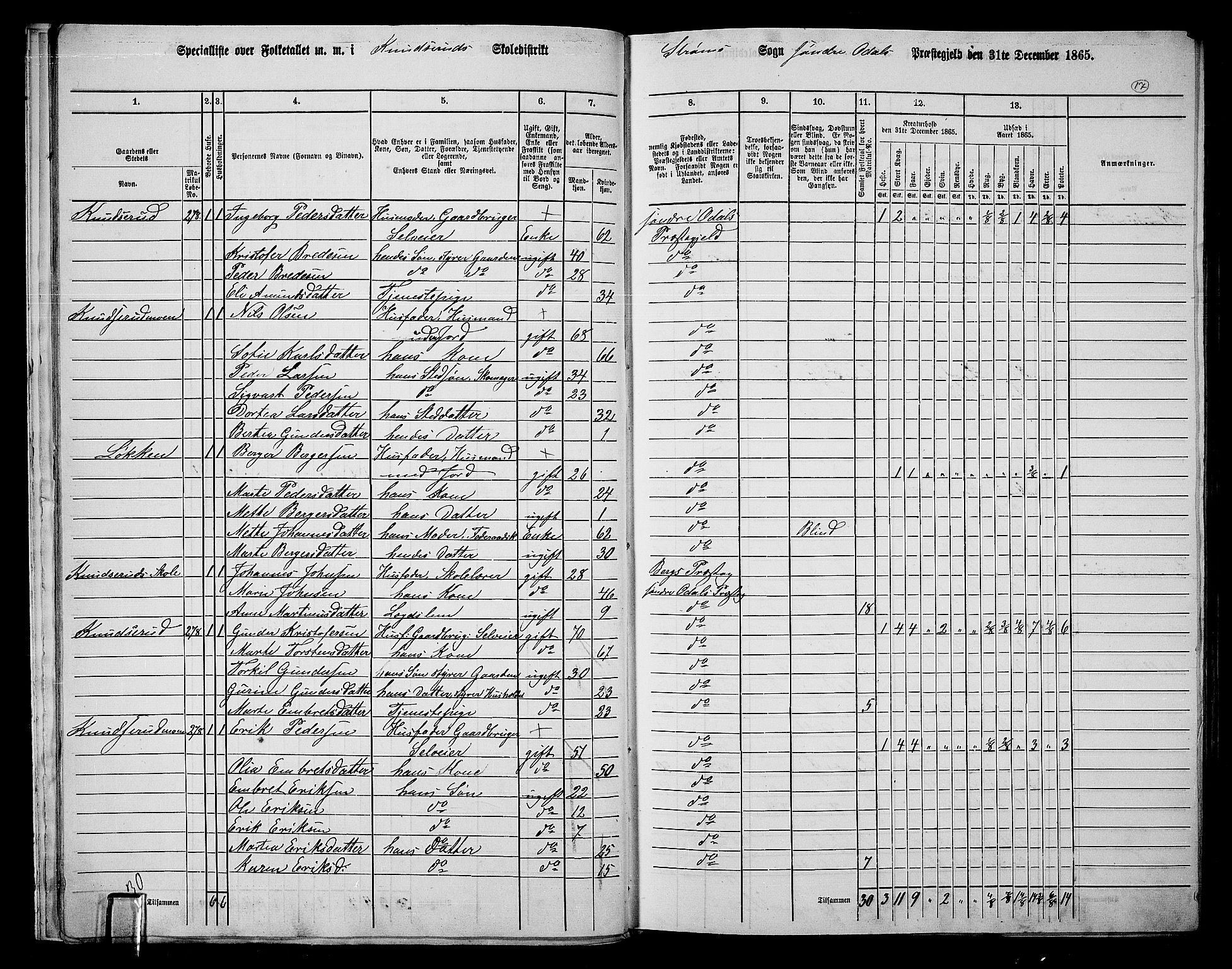 RA, 1865 census for Sør-Odal, 1865, p. 15