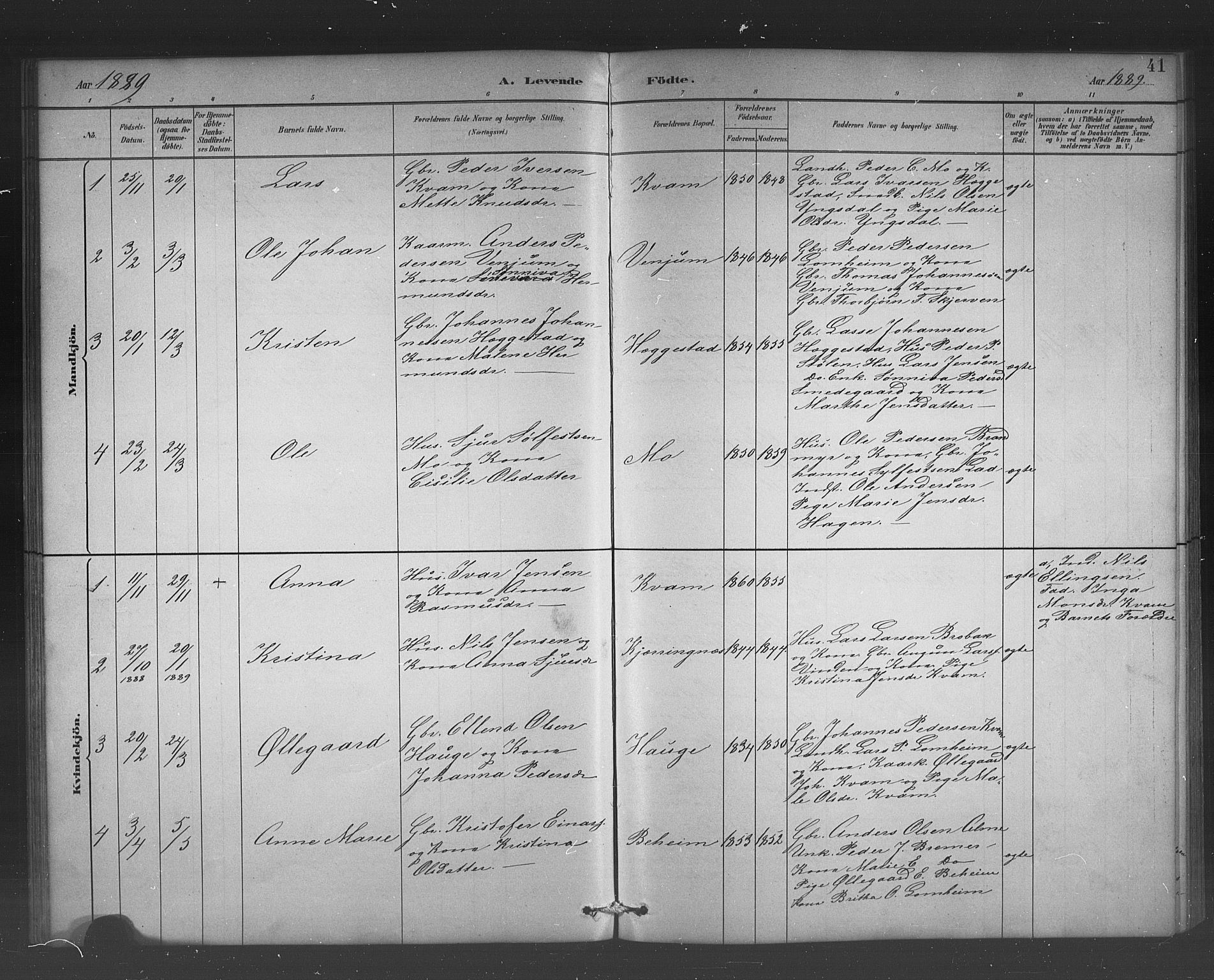 Hafslo sokneprestembete, AV/SAB-A-80301/H/Hab/Habb/L0001: Parish register (copy) no. B 1, 1882-1908, p. 41