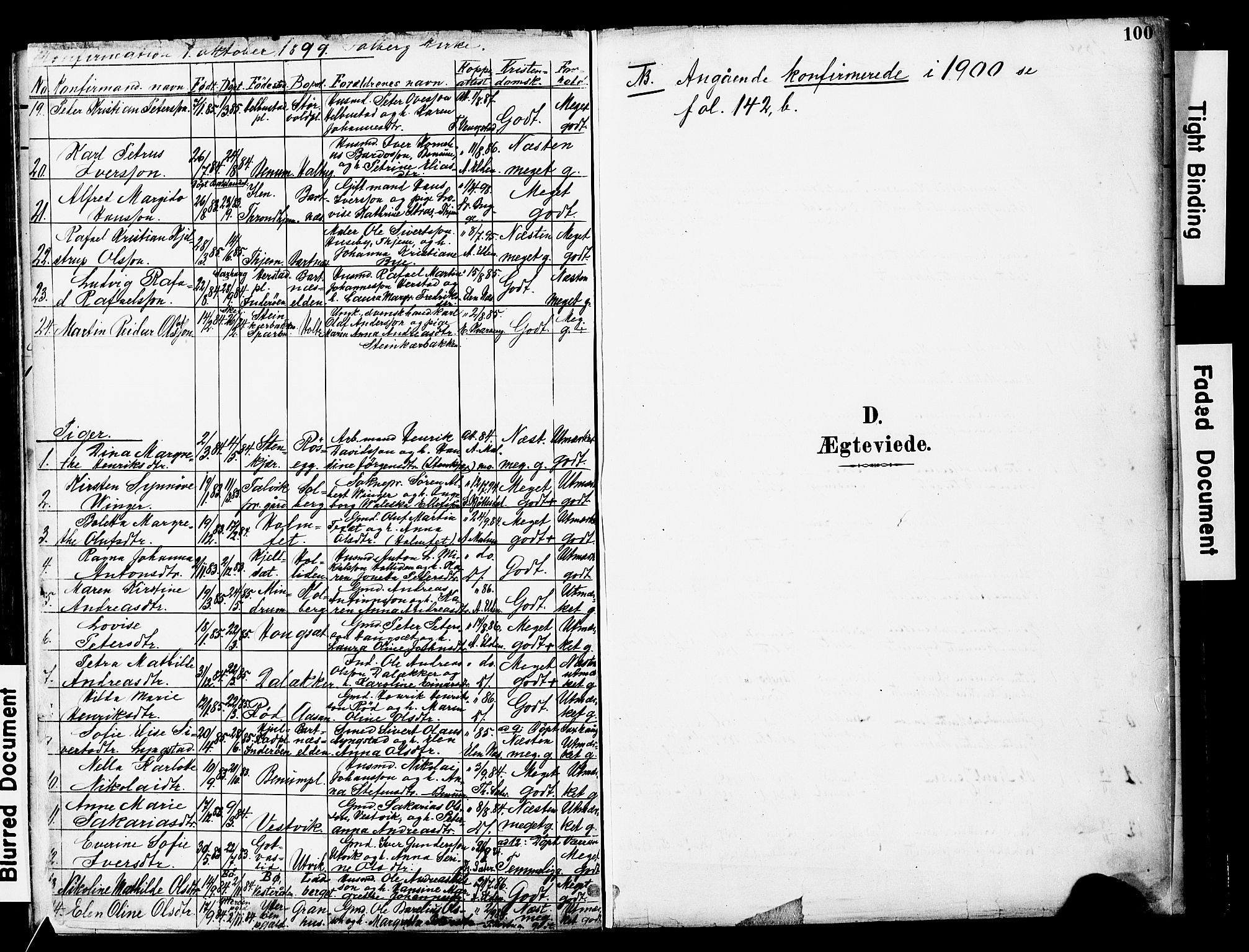 Ministerialprotokoller, klokkerbøker og fødselsregistre - Nord-Trøndelag, SAT/A-1458/741/L0396: Parish register (official) no. 741A10, 1889-1901, p. 100