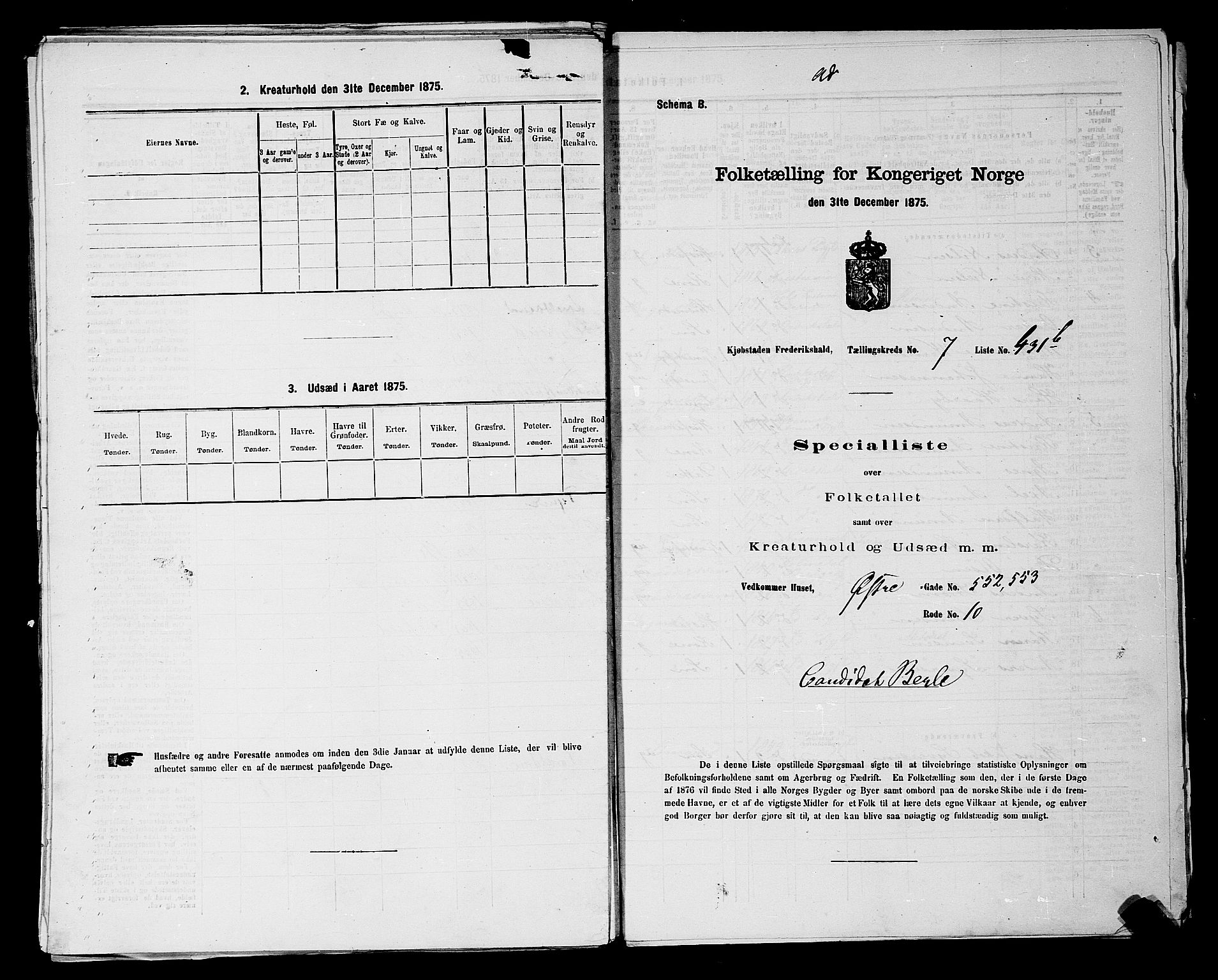 RA, 1875 census for 0101P Fredrikshald, 1875, p. 1099