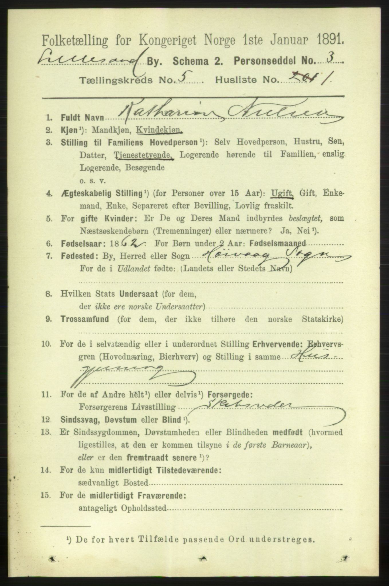 RA, 1891 census for 0905 Lillesand, 1891, p. 1383