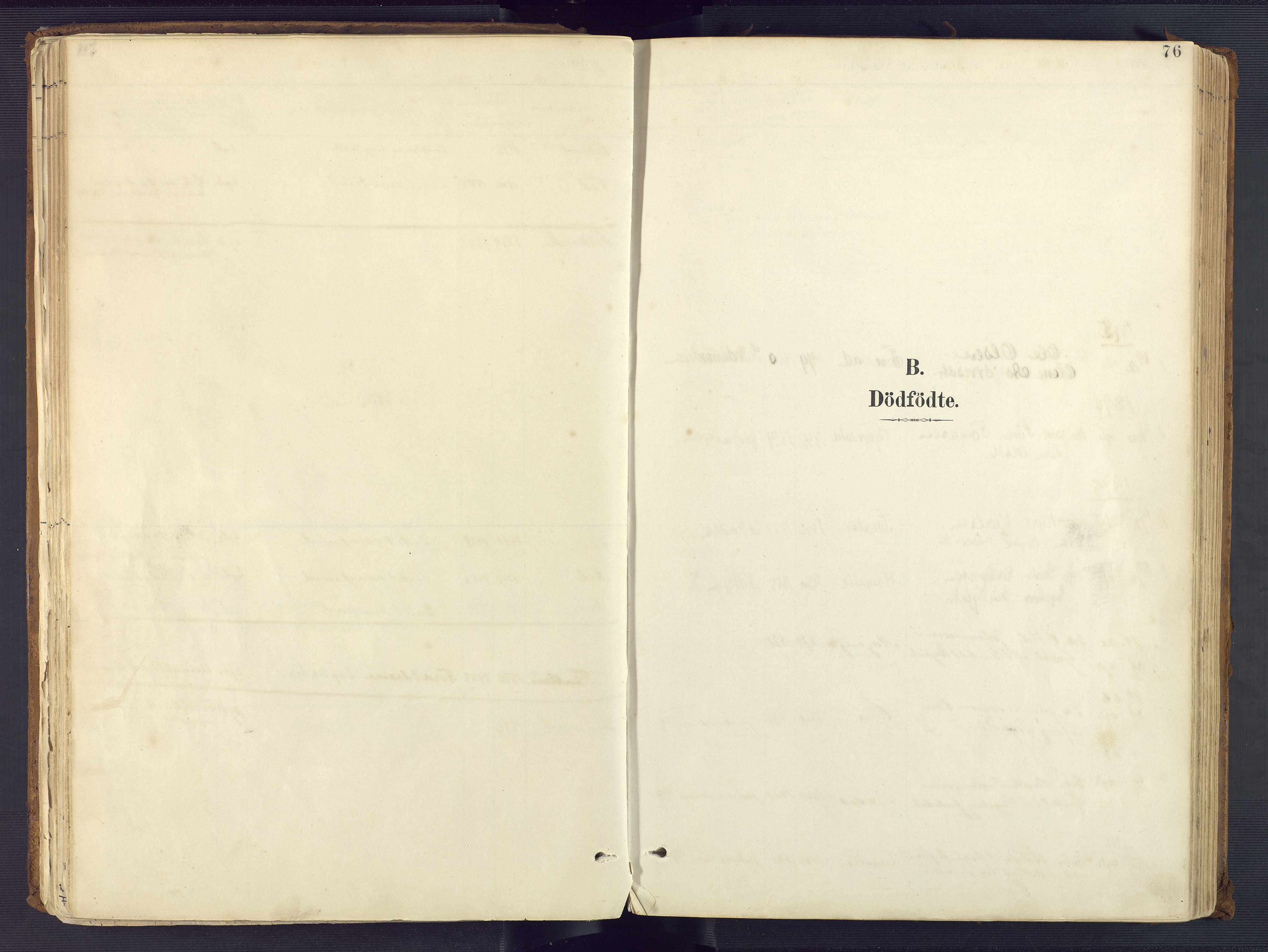 Sirdal sokneprestkontor, SAK/1111-0036/F/Fa/Fab/L0004: Parish register (official) no. A 4, 1887-1919, p. 76