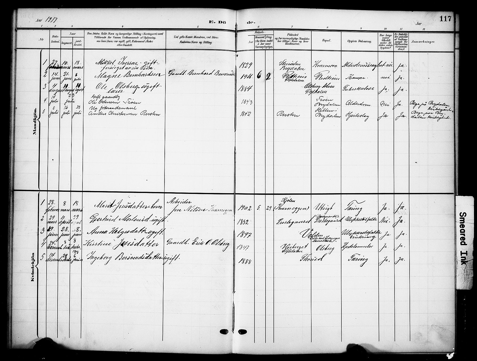 Tynset prestekontor, SAH/PREST-058/H/Ha/Hab/L0010: Parish register (copy) no. 10, 1902-1929, p. 117