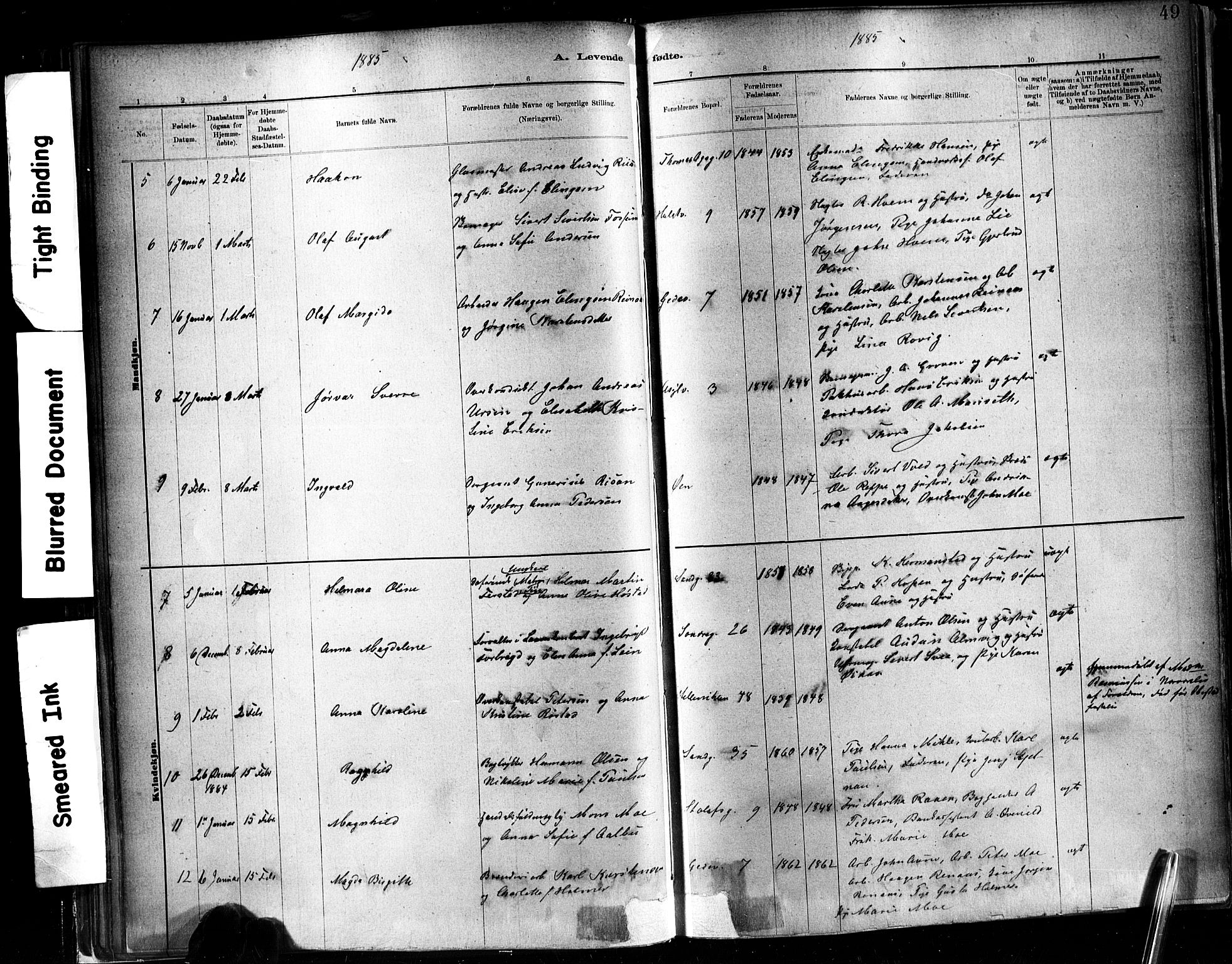 Ministerialprotokoller, klokkerbøker og fødselsregistre - Sør-Trøndelag, SAT/A-1456/602/L0119: Parish register (official) no. 602A17, 1880-1901, p. 49