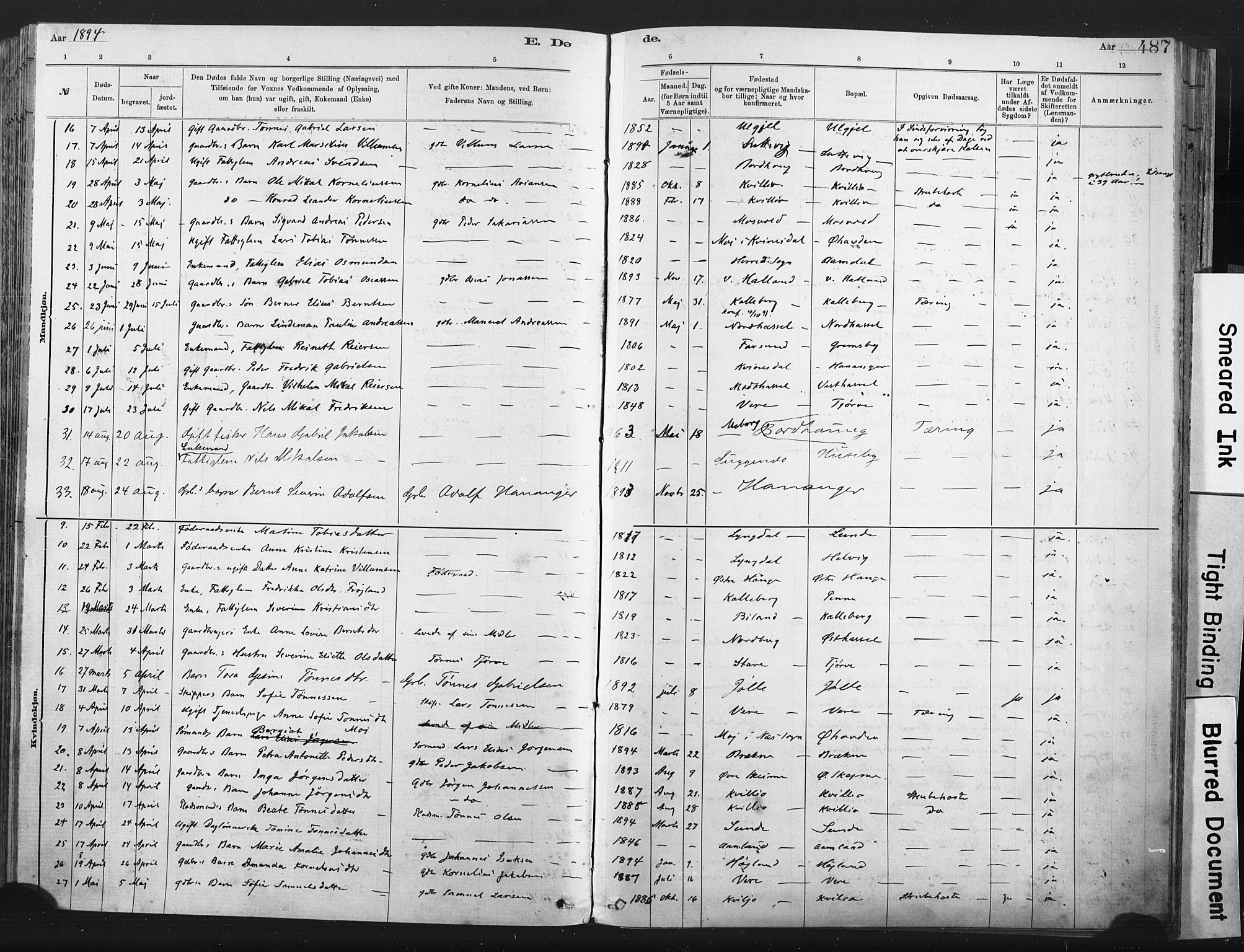 Lista sokneprestkontor, AV/SAK-1111-0027/F/Fa/L0012: Parish register (official) no. A 12, 1879-1903, p. 487